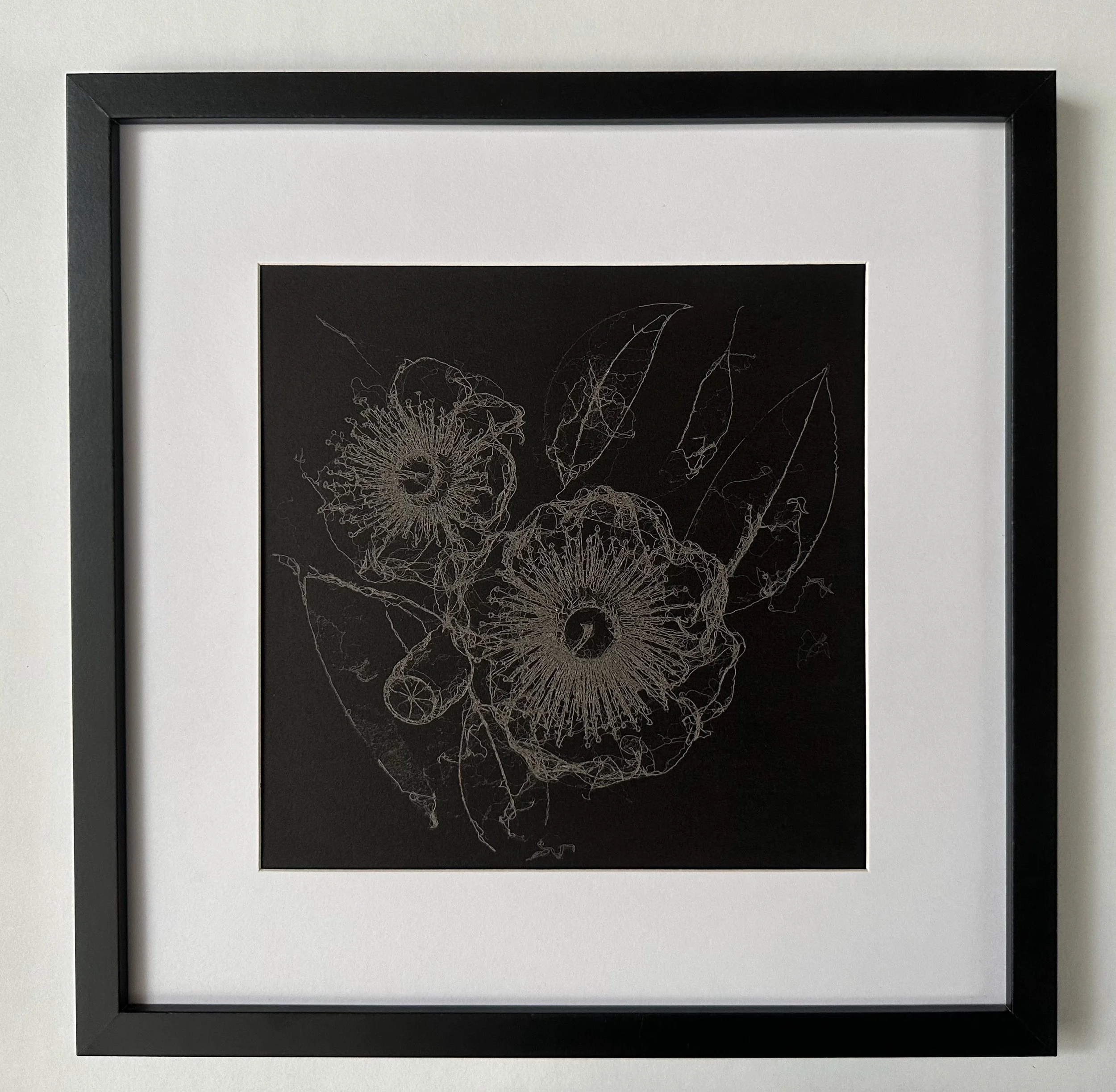 Framed laser drawing of Gum flowers