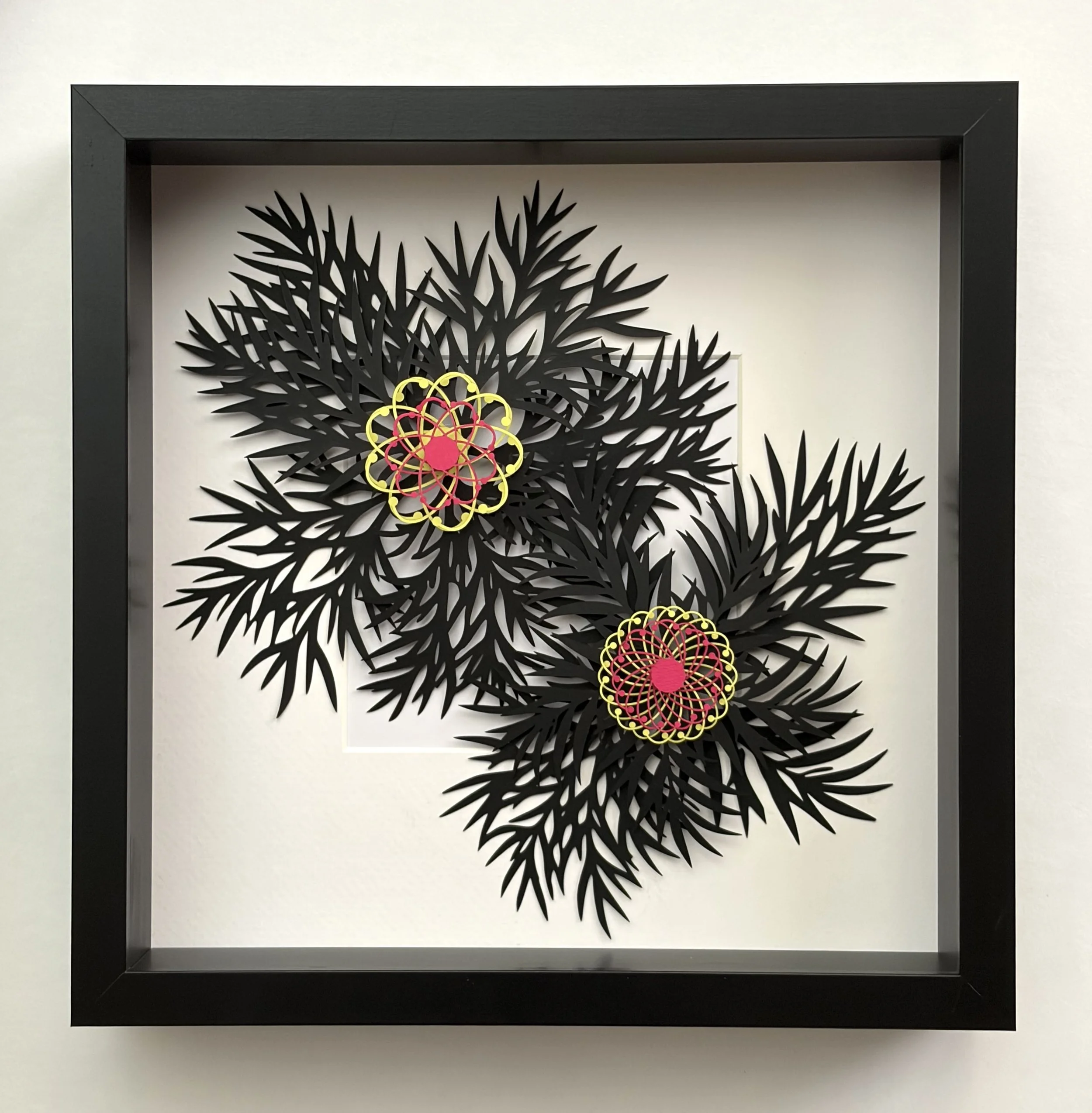 grevillea-yellowpinkpair.jpeg