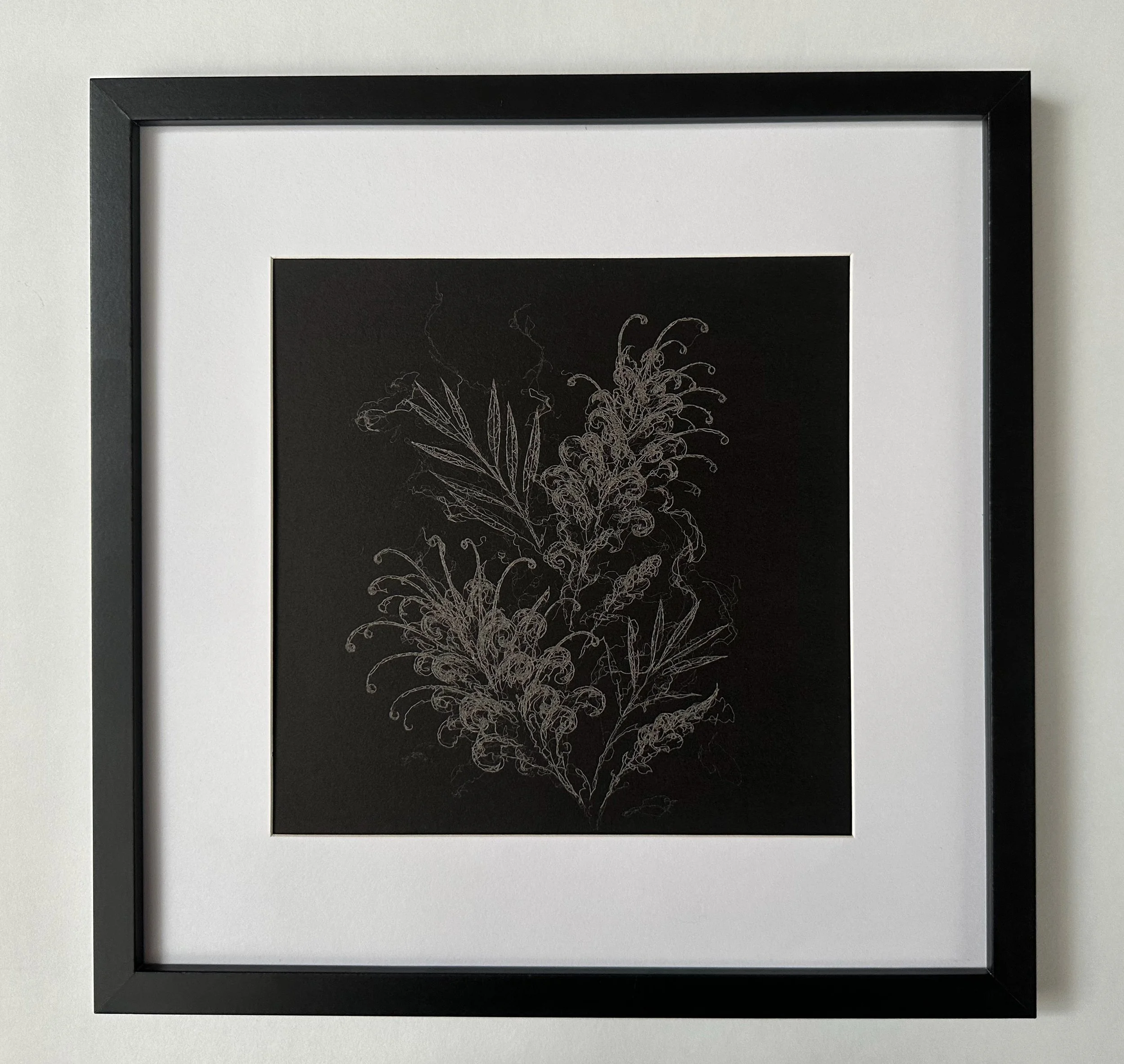 Framed laser drawing of Grevillea flowers