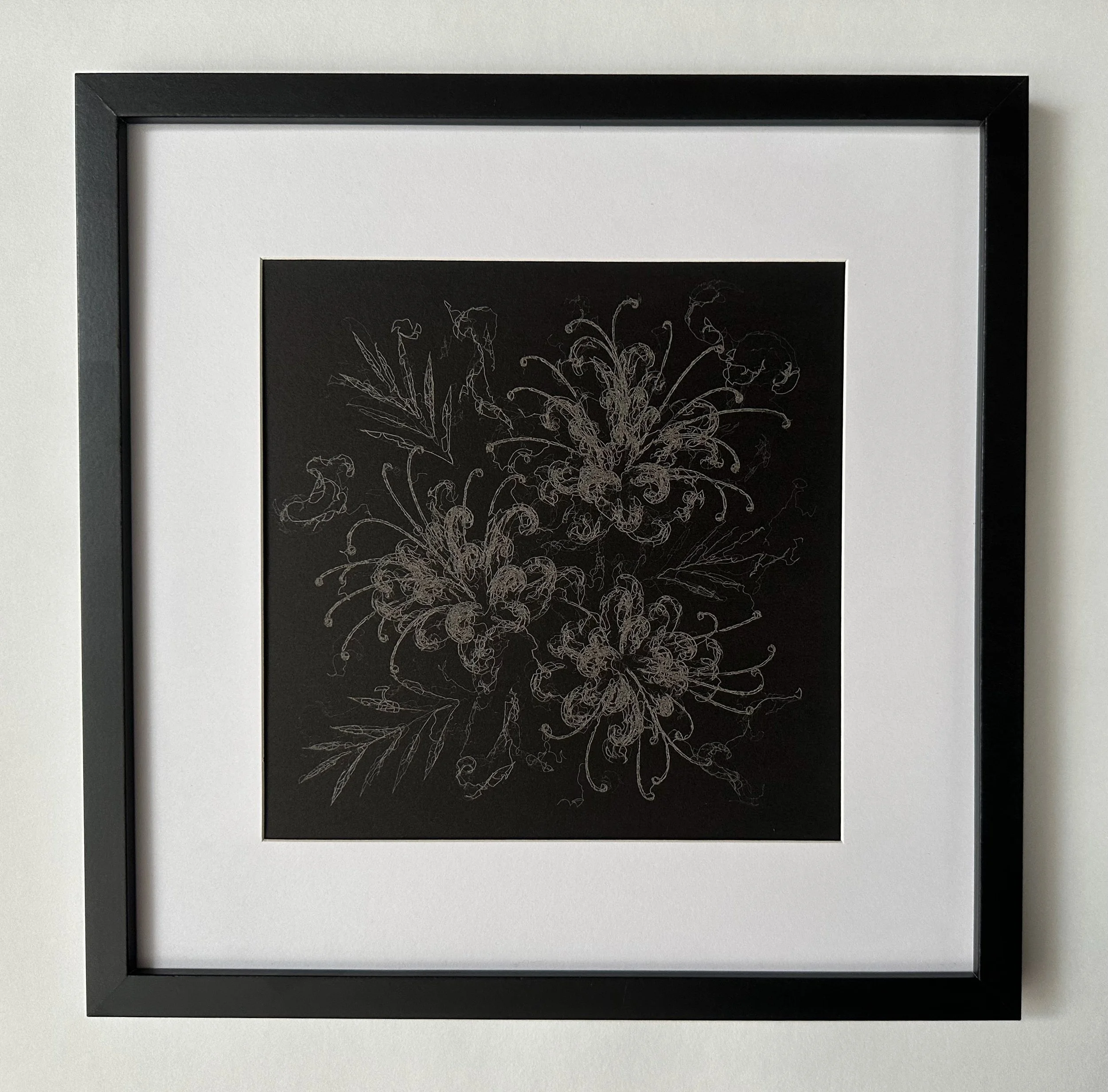 Framed laser drawing of Grevillea flowers