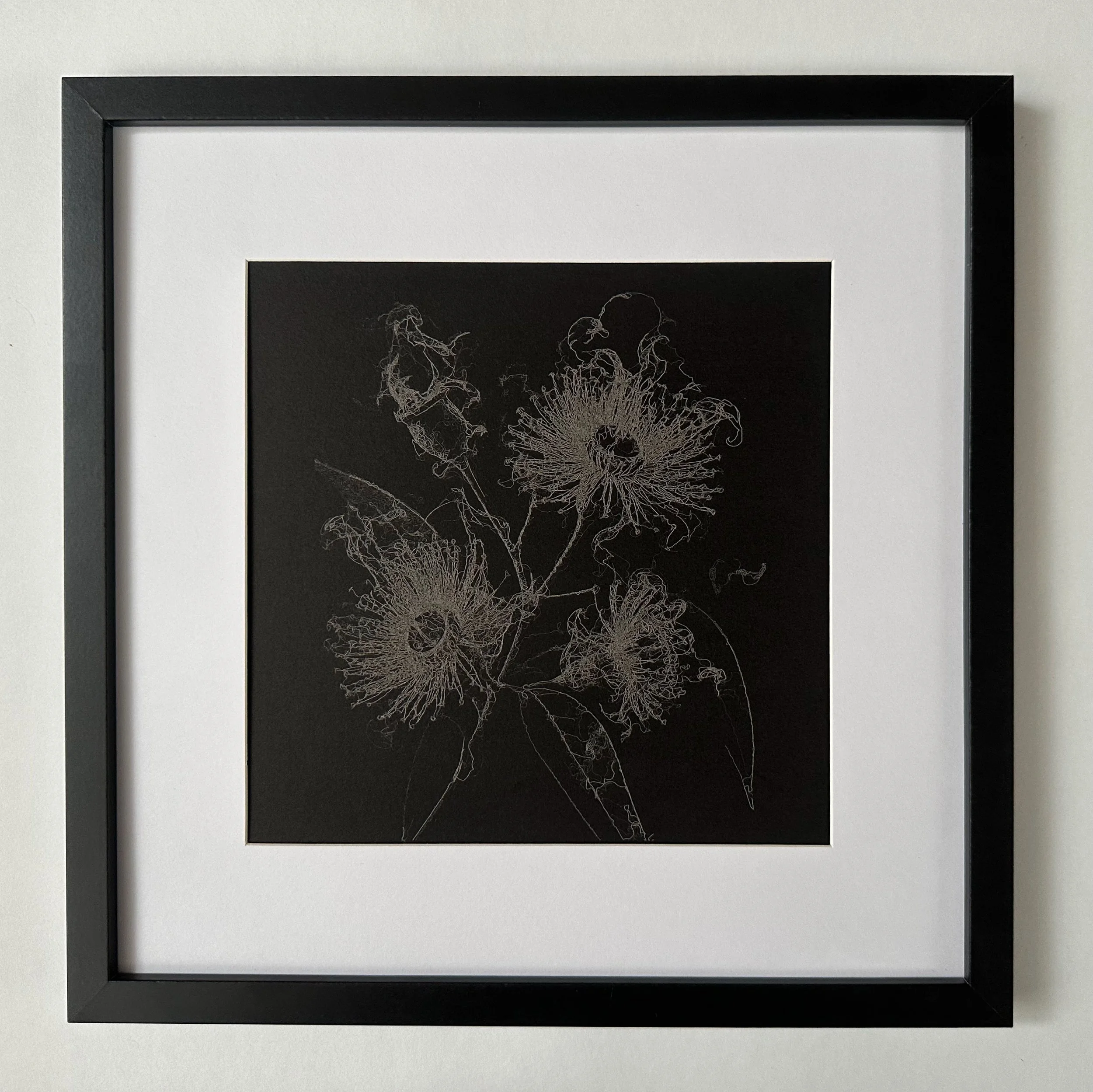 Framed laser drawing of Gum flowers