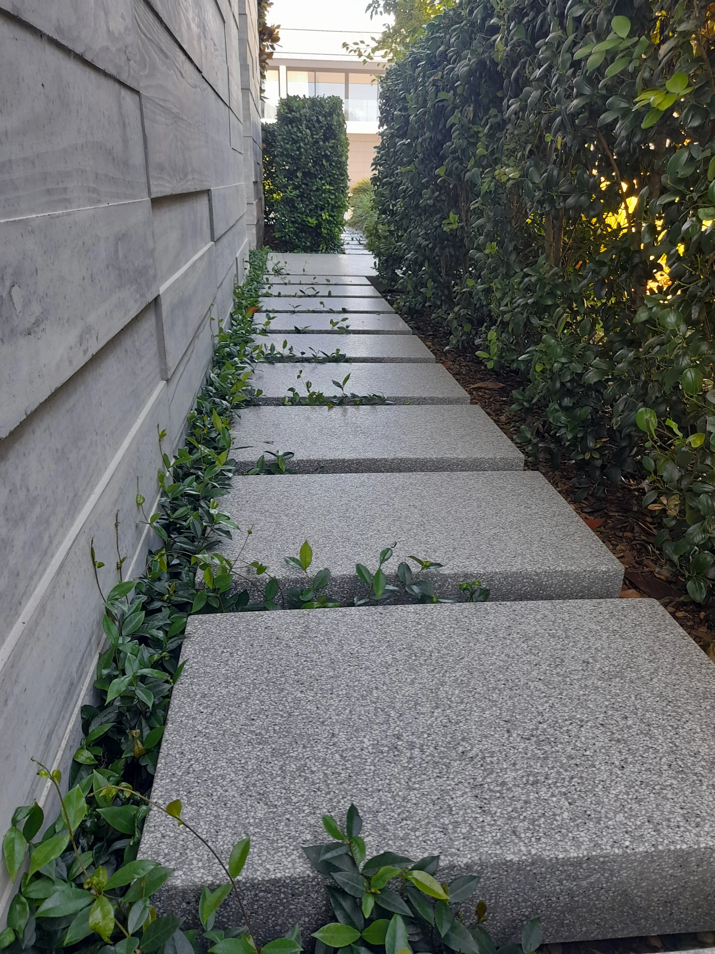 A tiled outdoor walkway bordered by a tall concrete wall on the left and dense green bushes on the right.