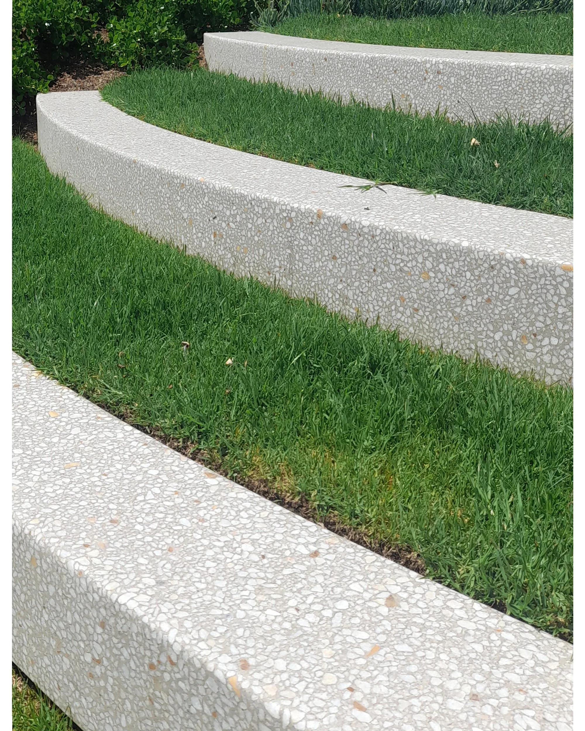 A section of a yard with a curved concrete border, green grass, and trimmed bushes in the background.