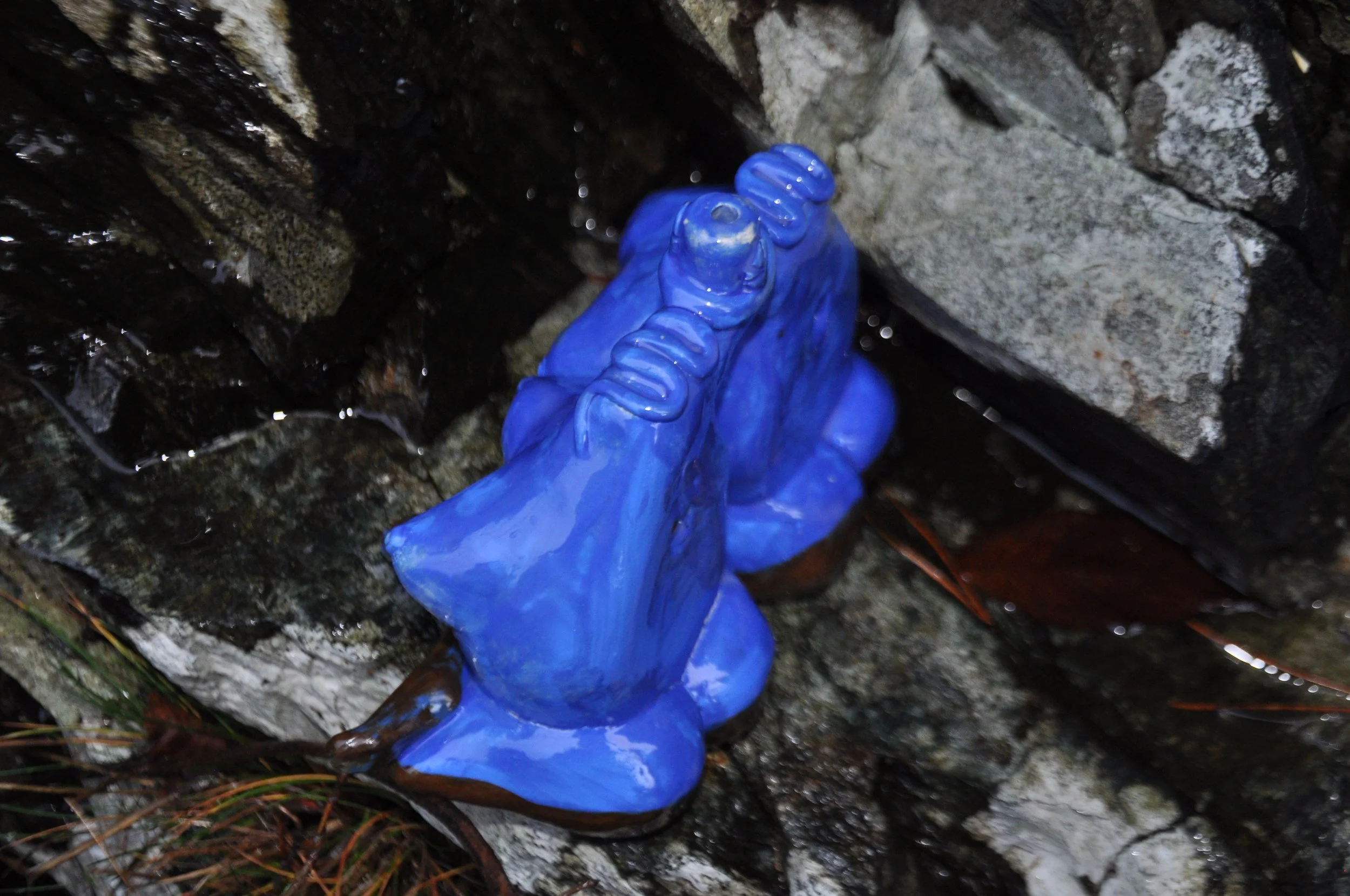 DSC_0070.JPG