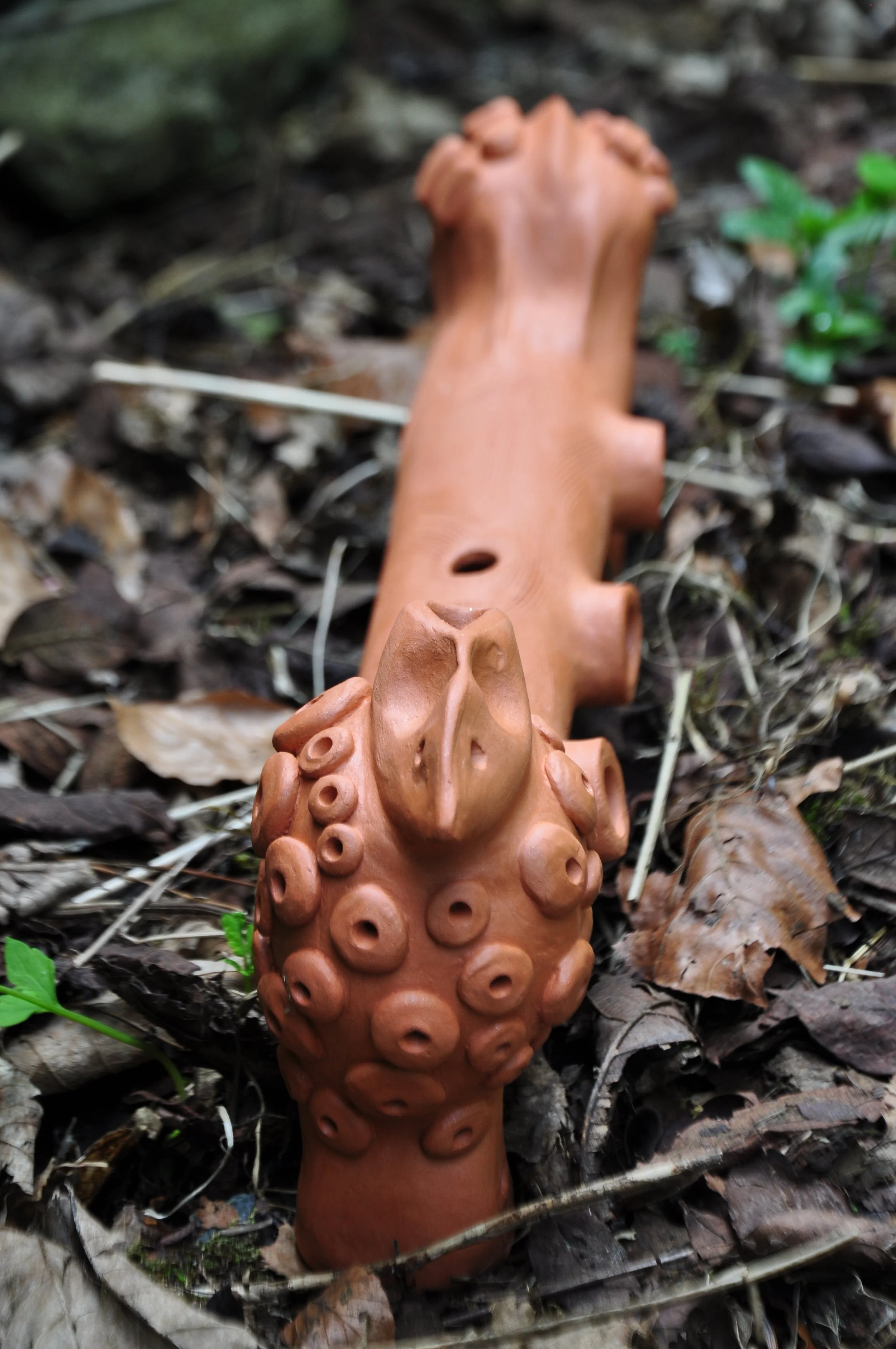DSC_0543.JPG