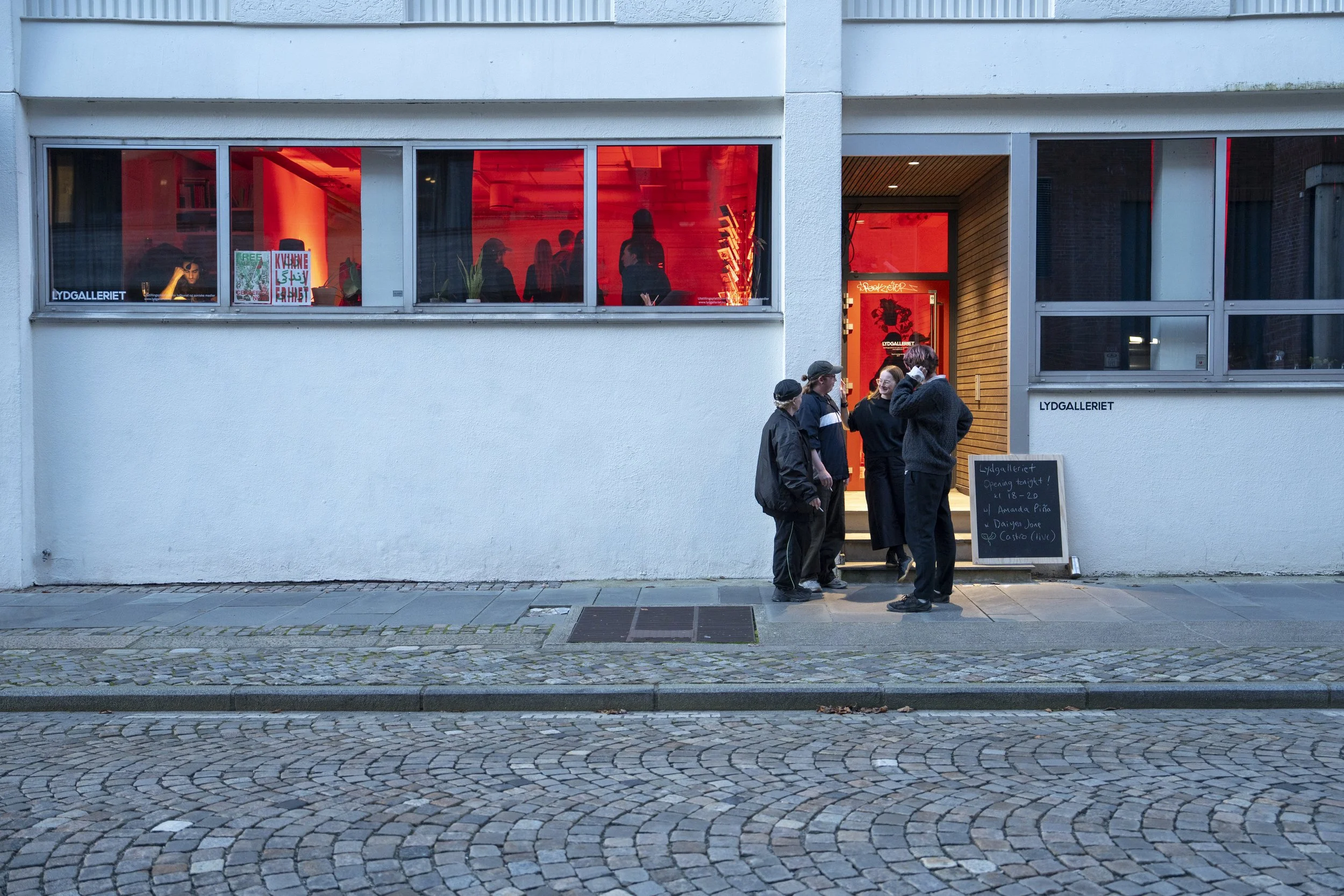 The Listening Biennial_Lydgalleriet_NayaraLeite_HighRes-43.jpg