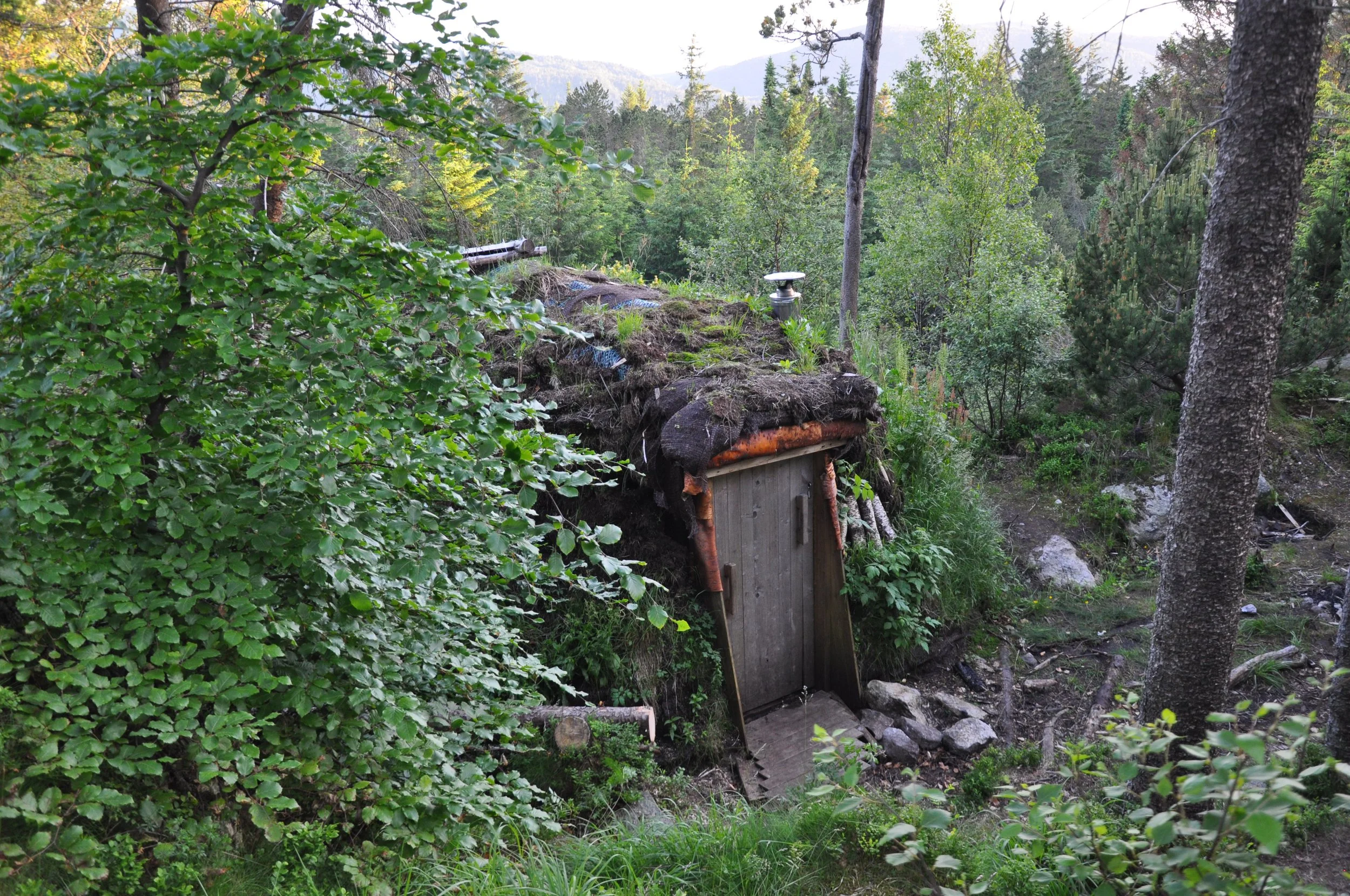 DSC_0102.JPG