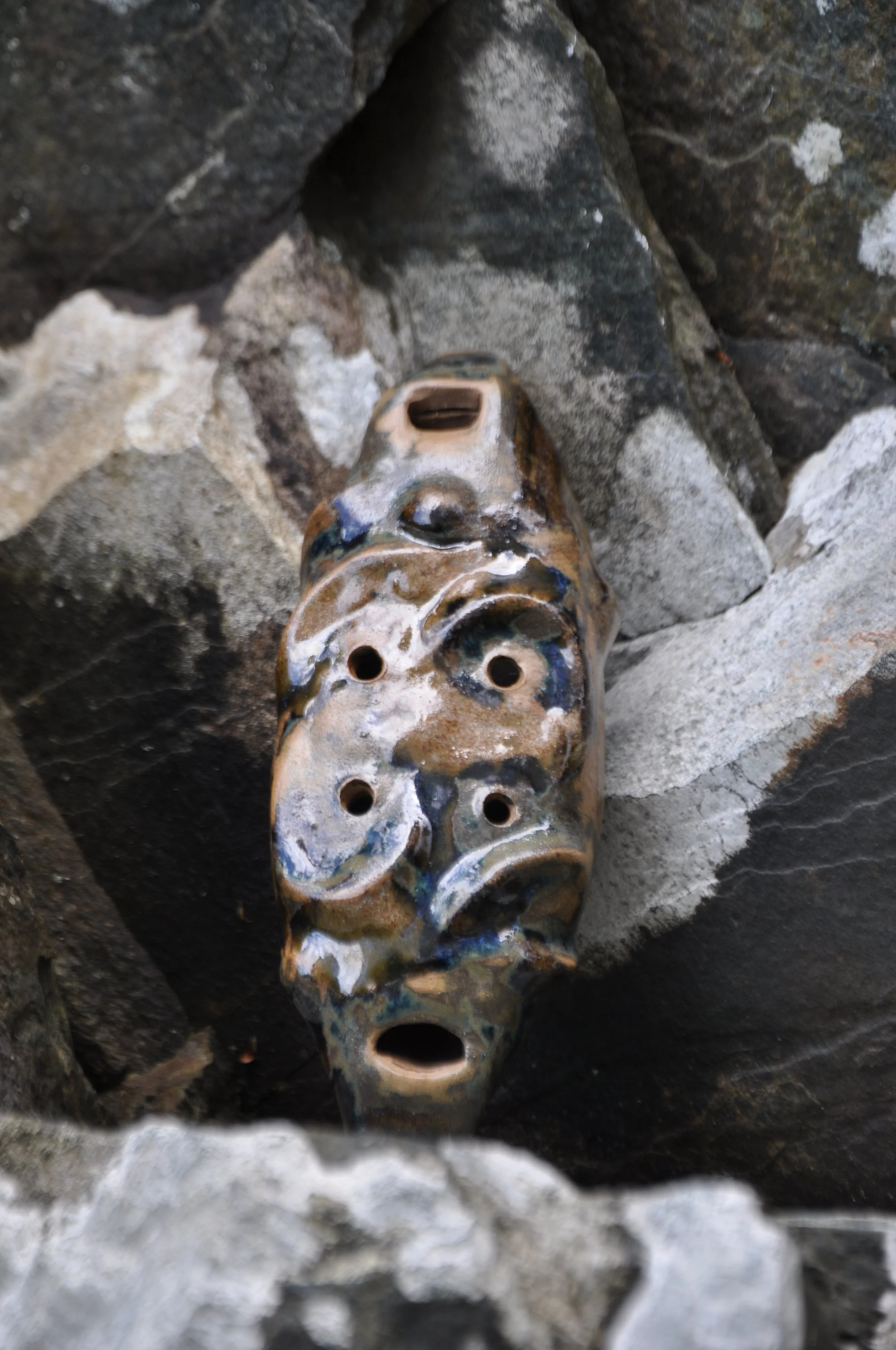 DSC_0499.JPG