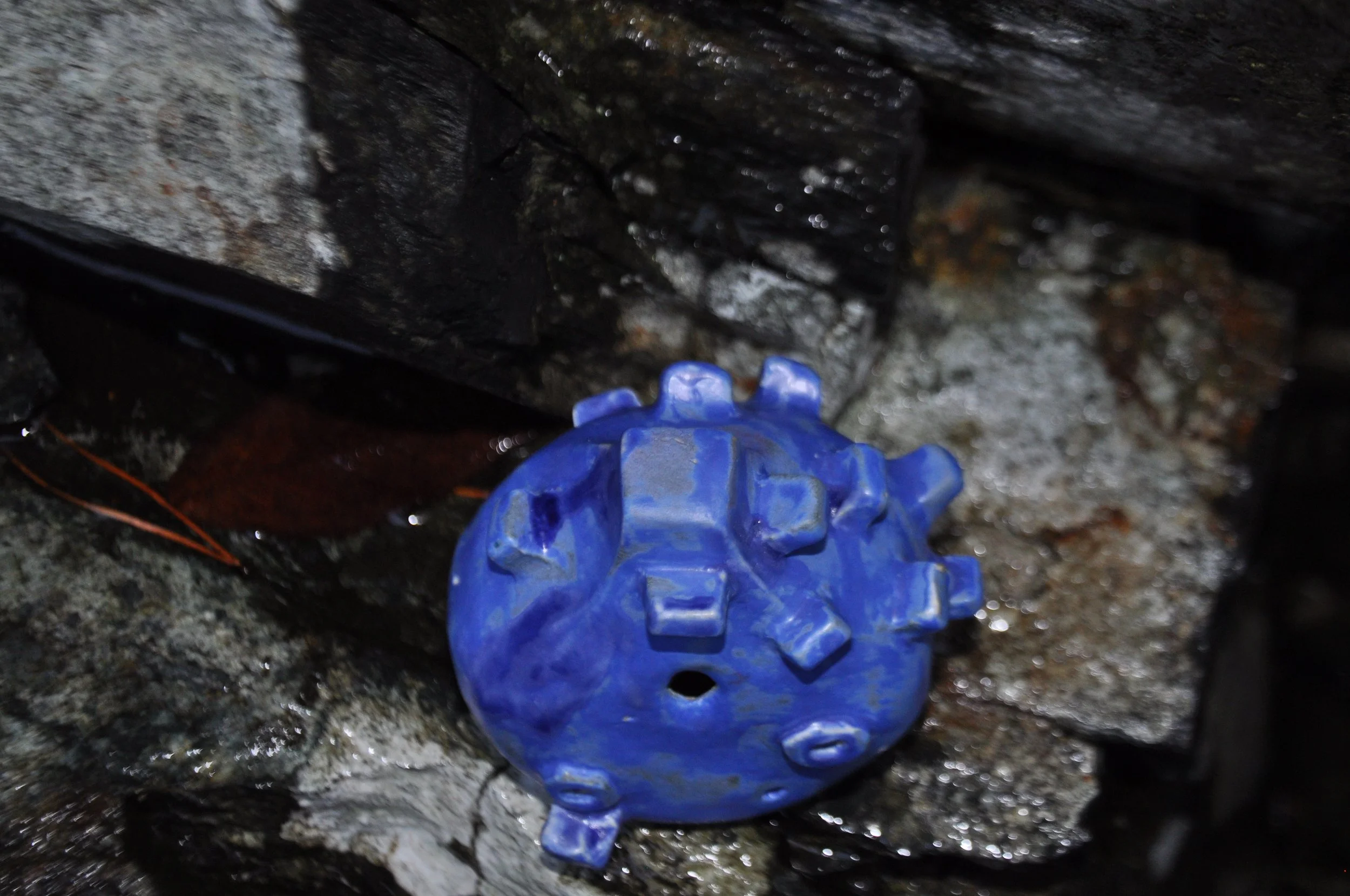 DSC_0077.JPG