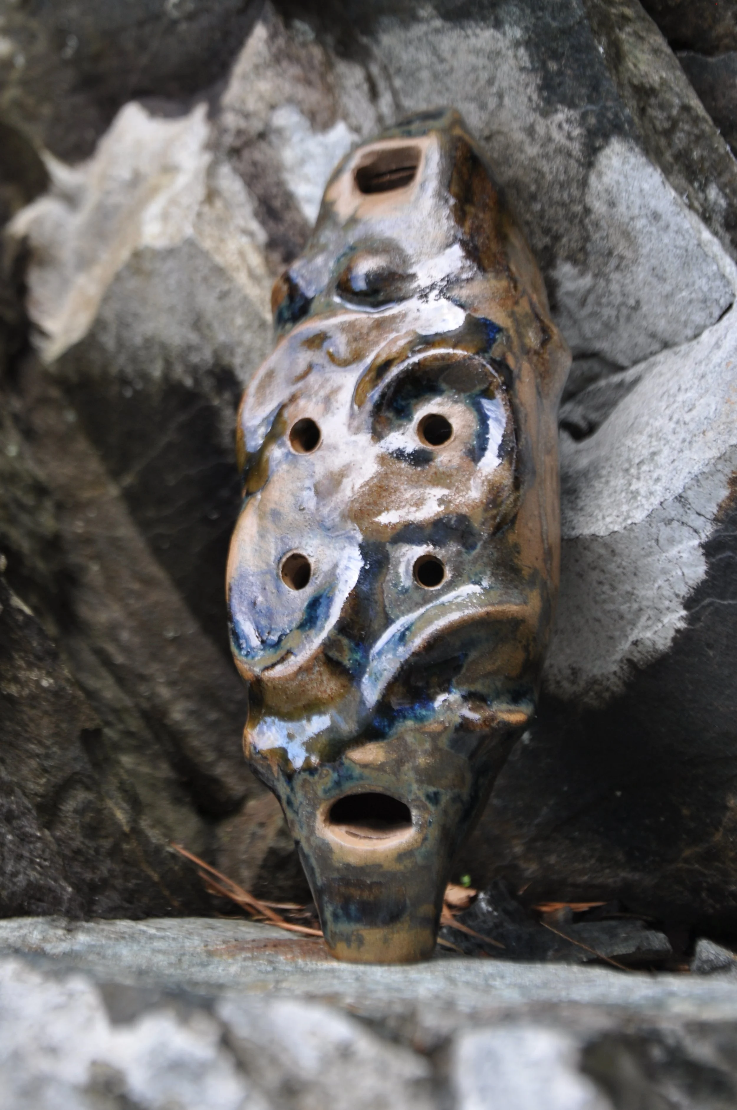 DSC_0510.JPG