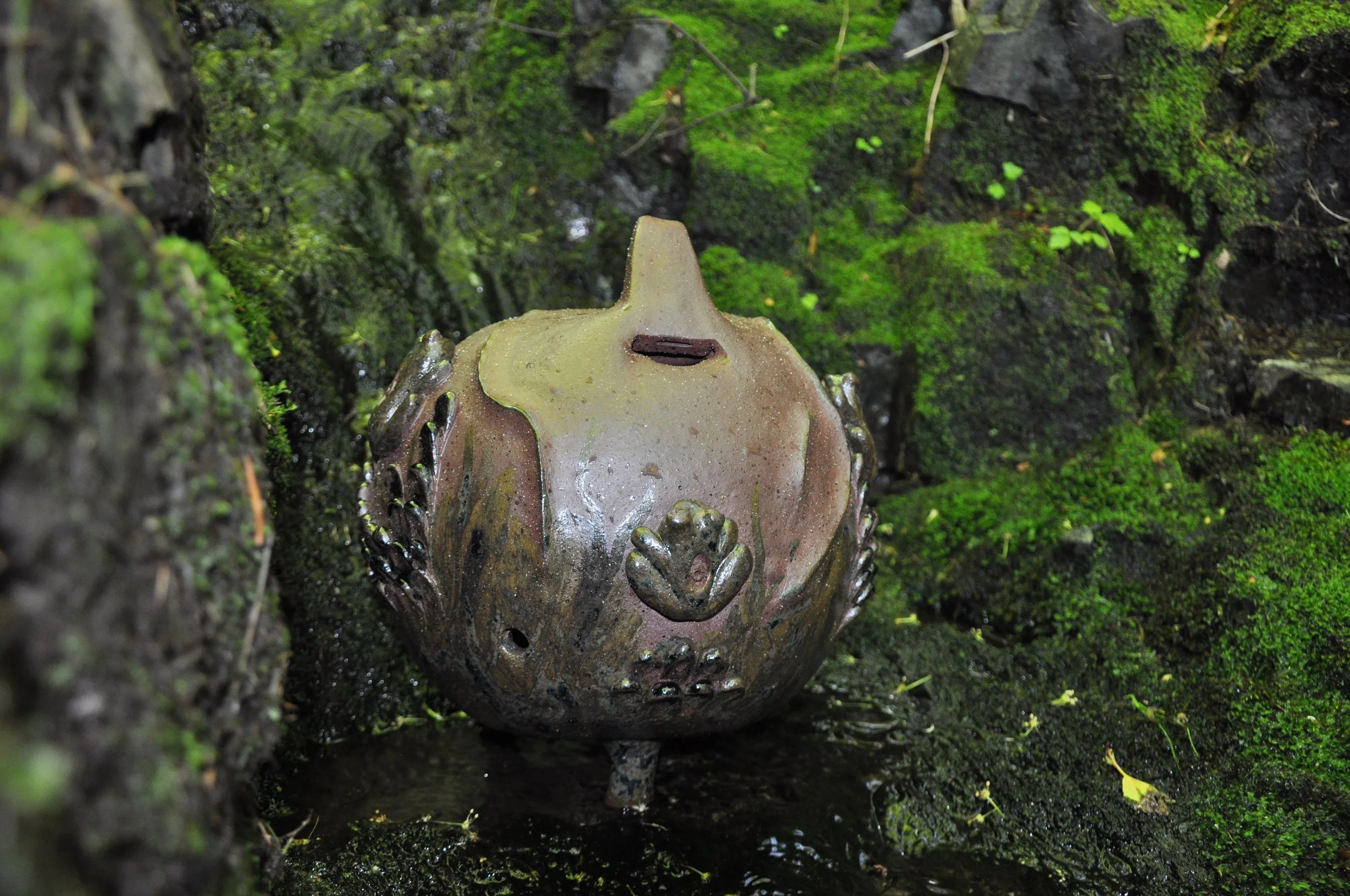 DSC_0053.JPG