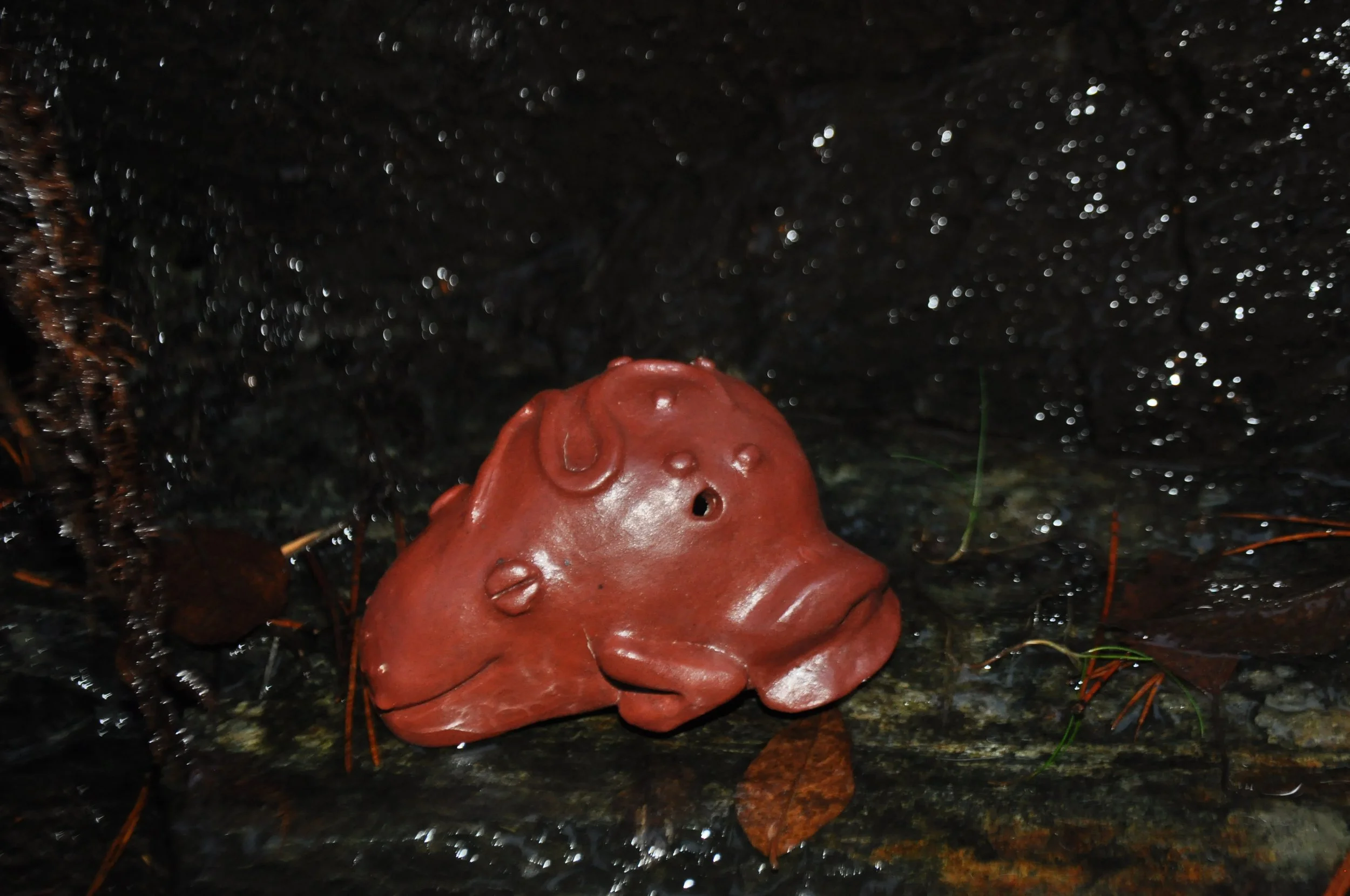 DSC_0023.JPG