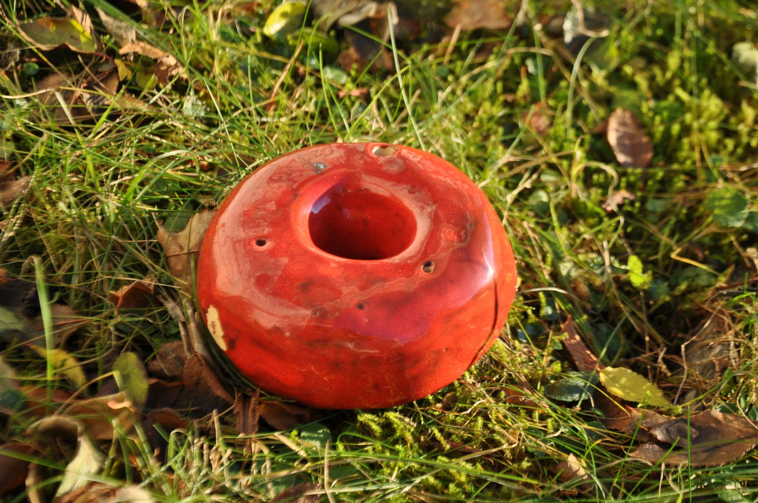 DSC_0060 2.JPG