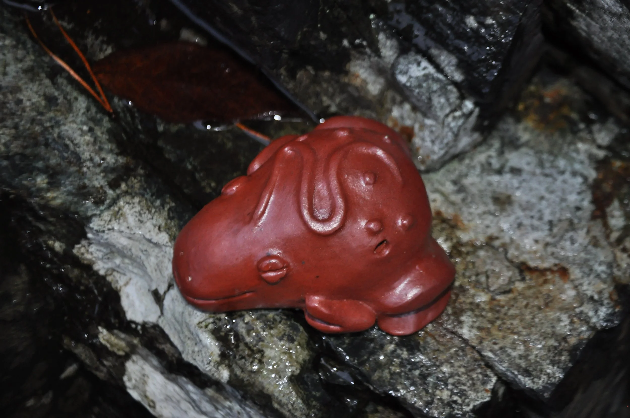 DSC_0073.JPG