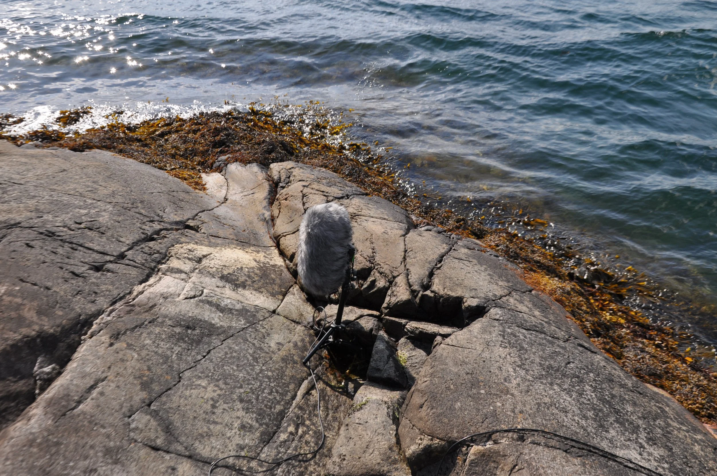 DSC_0104.JPG