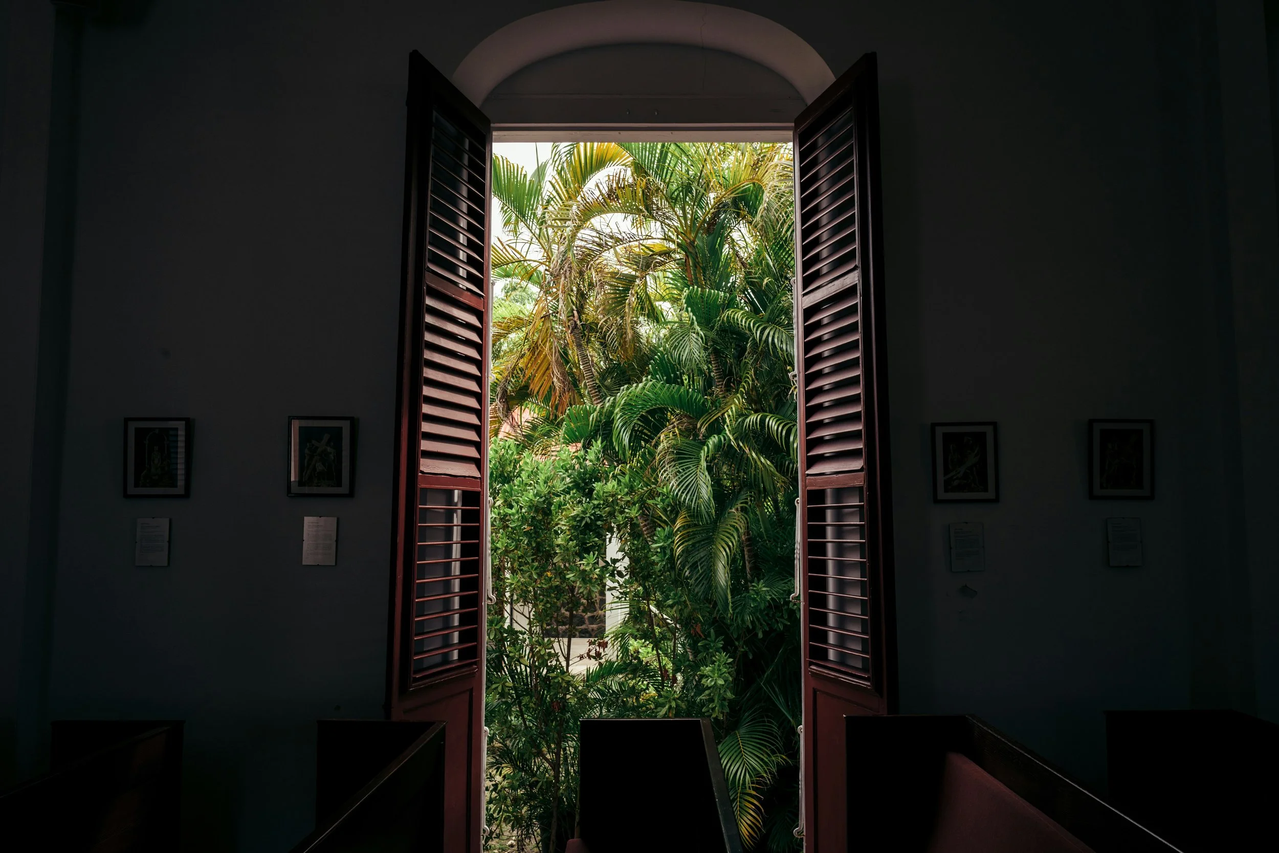 Open window with wooden shutters revealing lush green tropical plants outside.