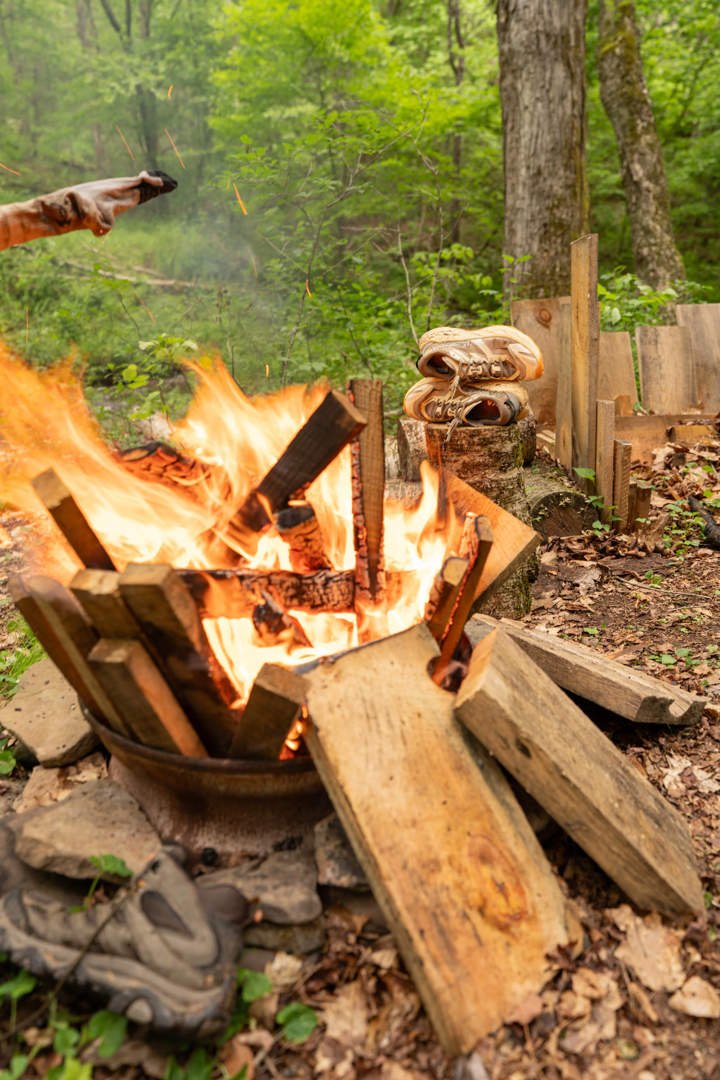 A campfire with burning logs and ash in a wooded forest area with trees and green foliage.