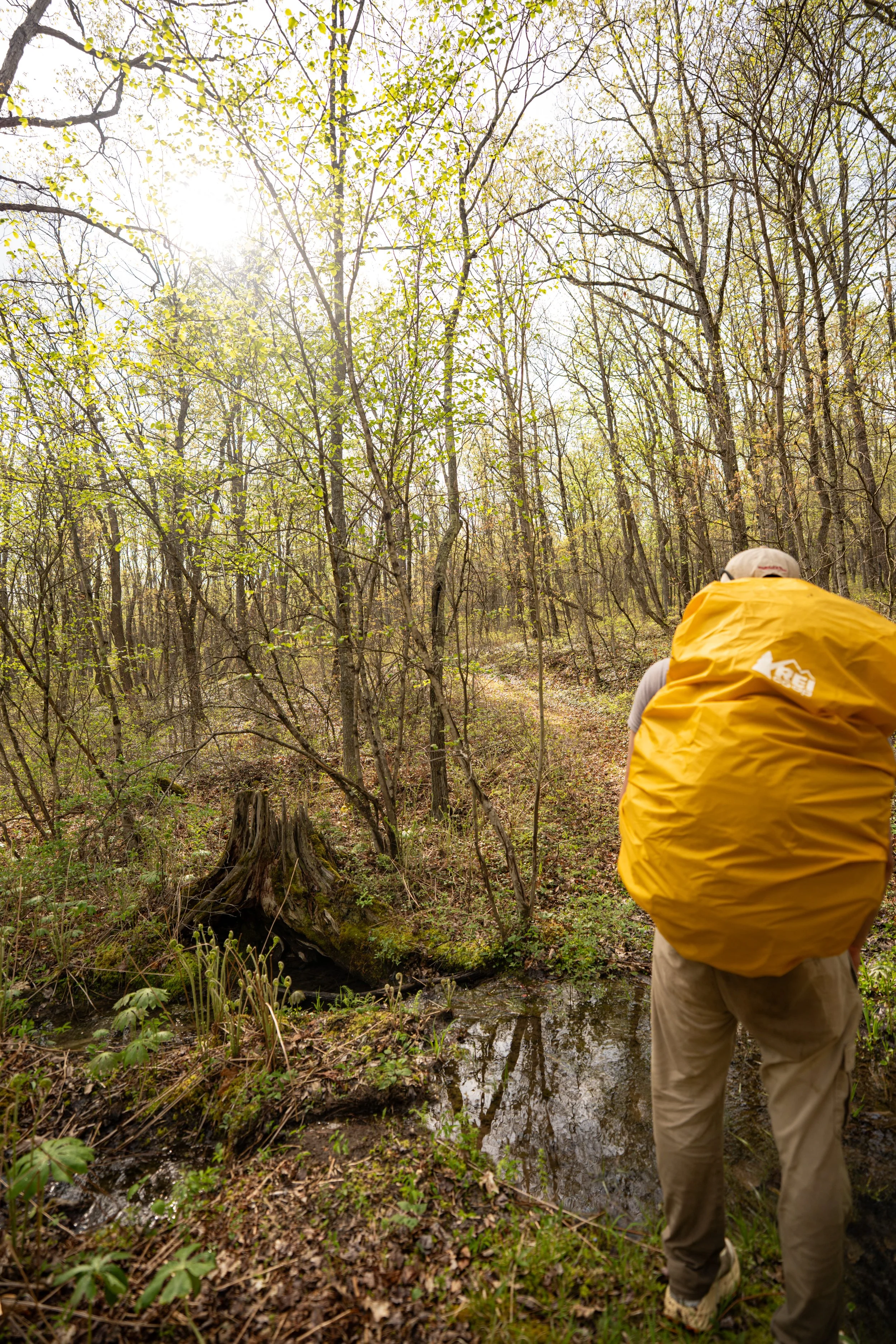 Person wearing a yellow jacket and beige pants walking through a wooded area with a small stream.