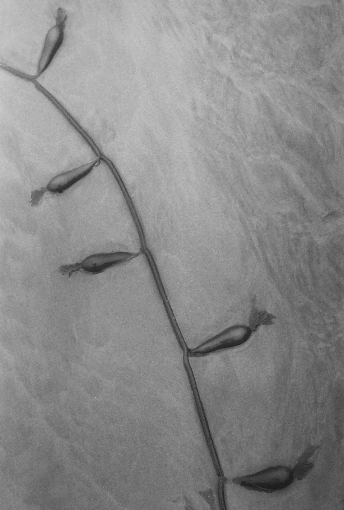 000019-2(1).JPG