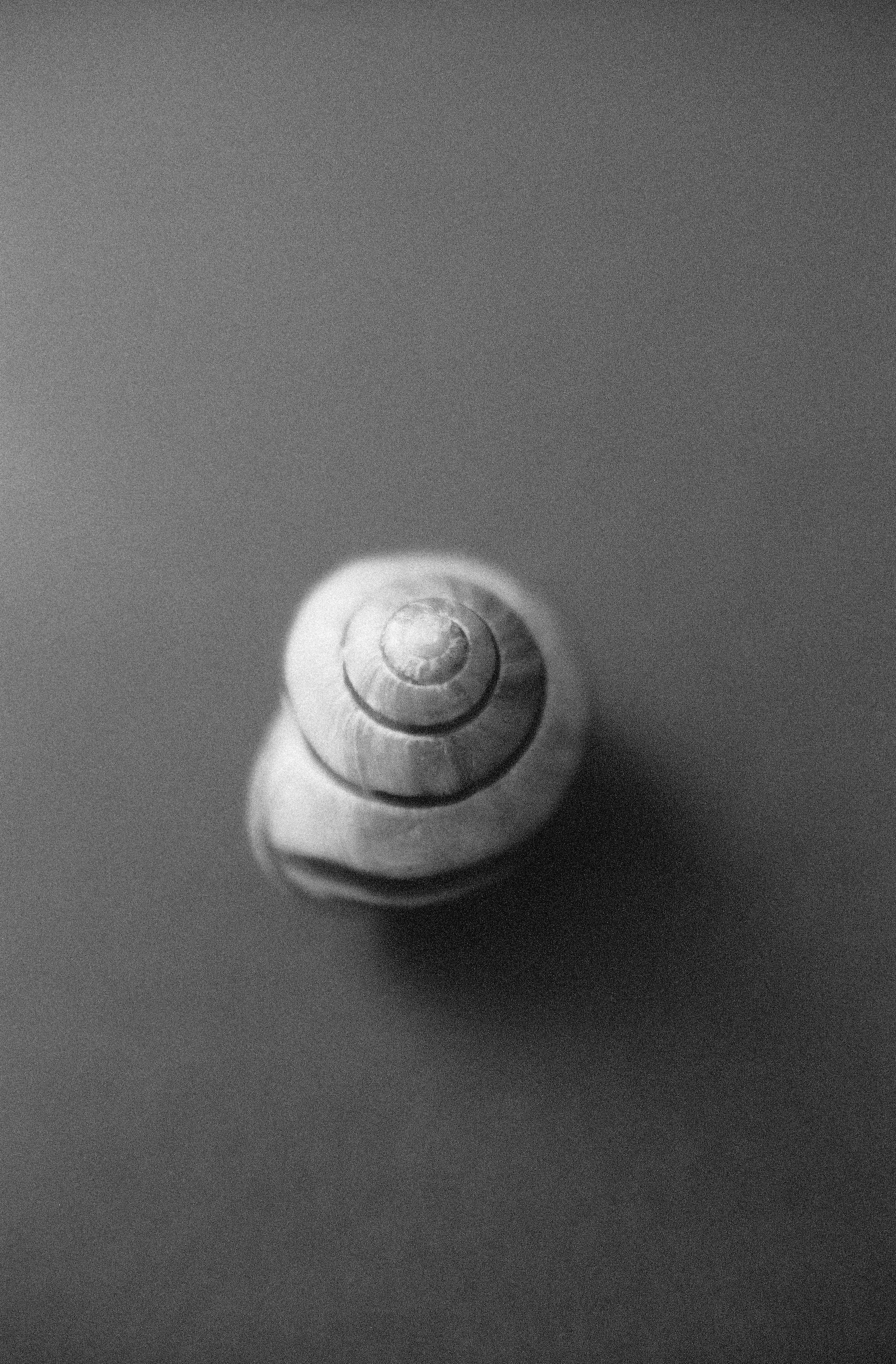 000026-3(1).JPG