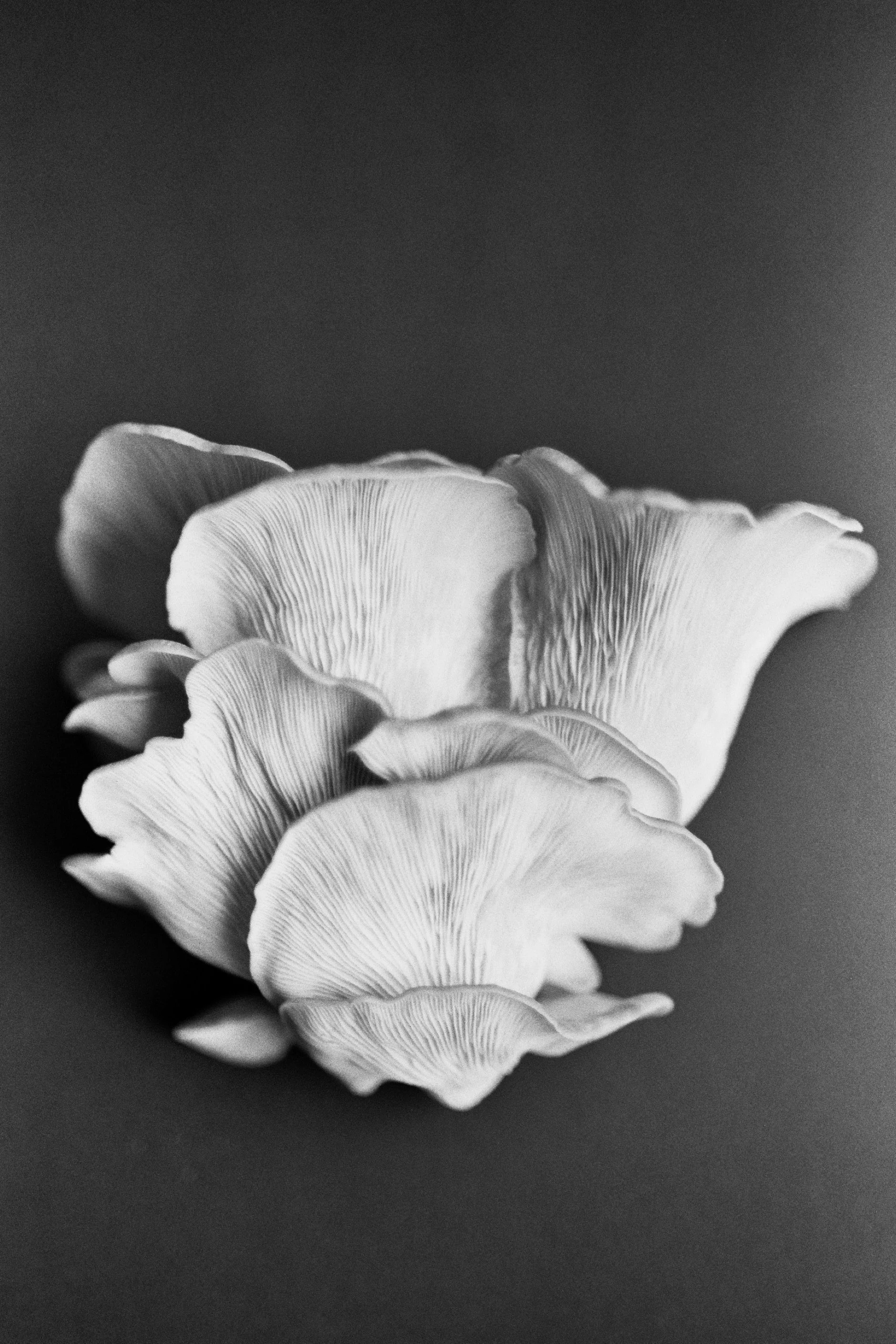 __3_0139-2(2).jpg