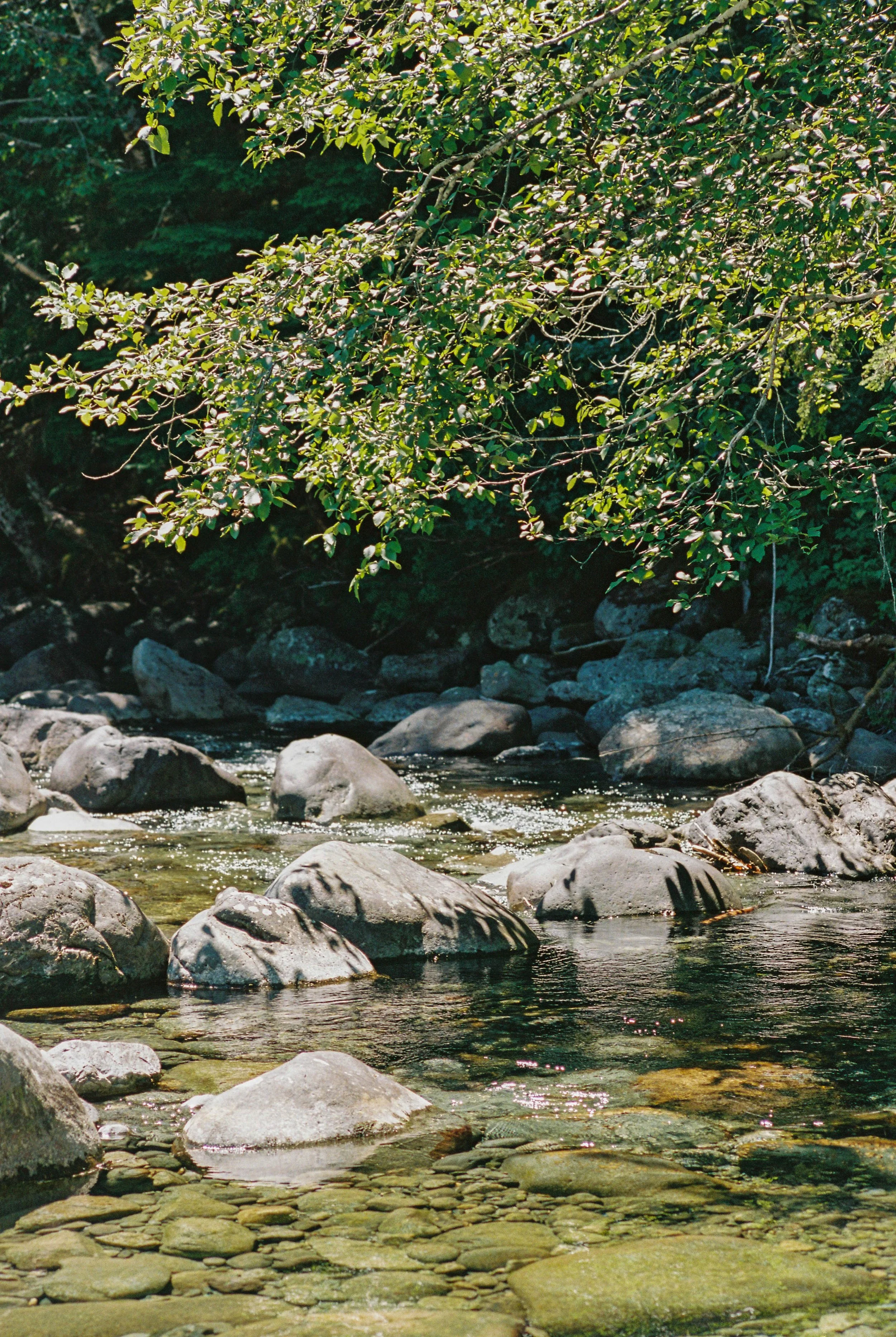 JM080825026510-06.jpg