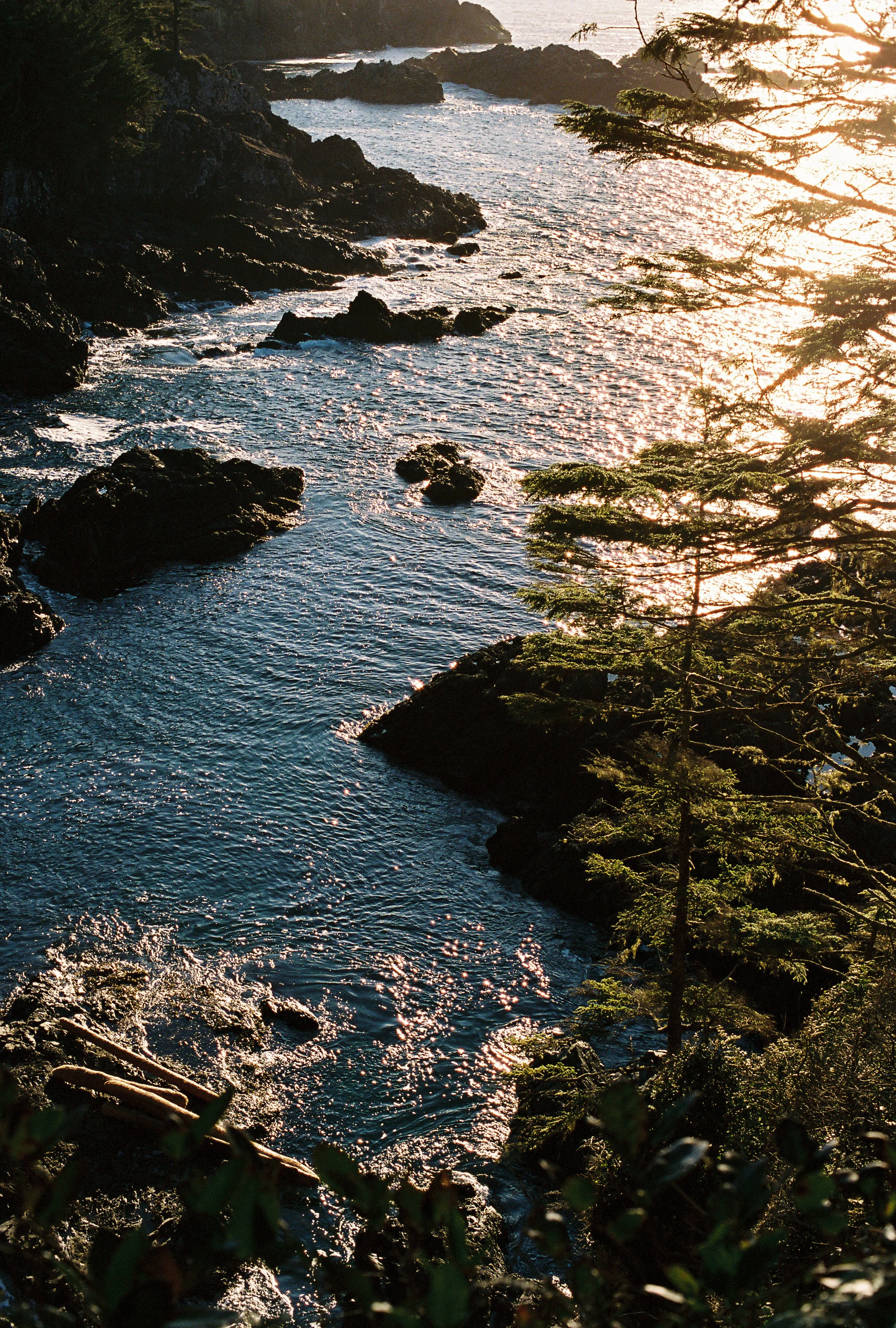 6474film116698-R1-038-17A_1.jpg
