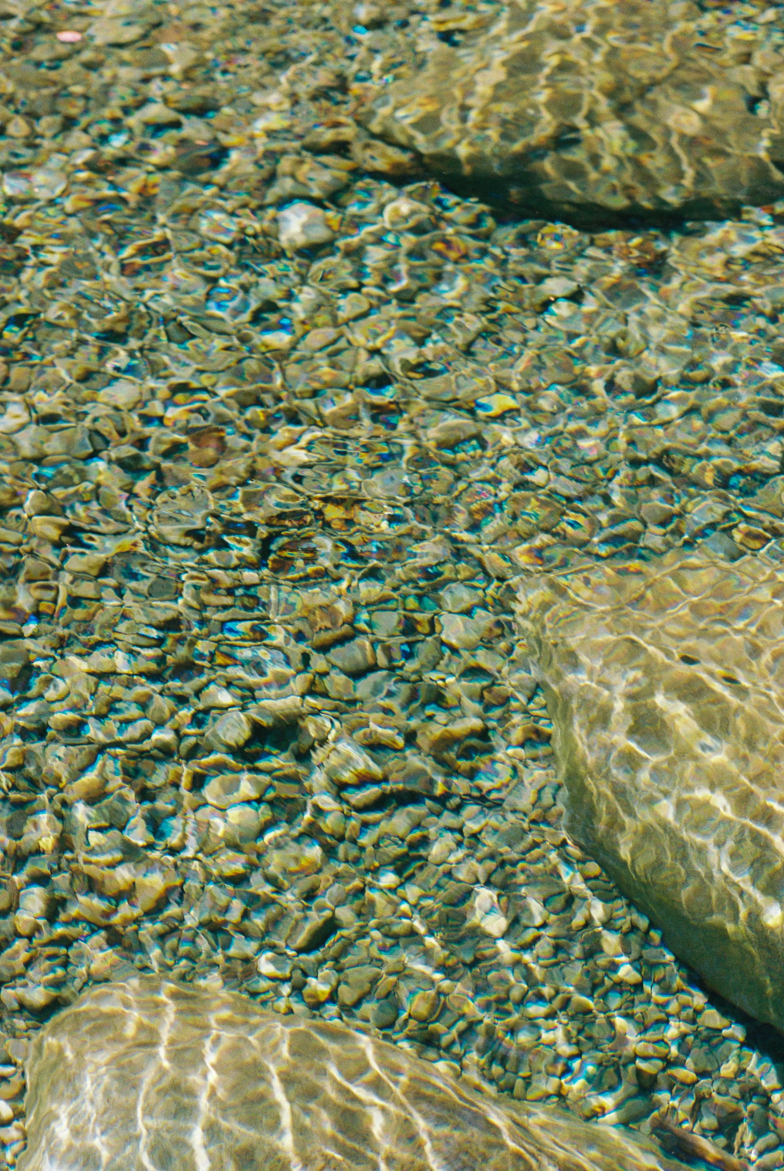 JM080825026510-05.jpg