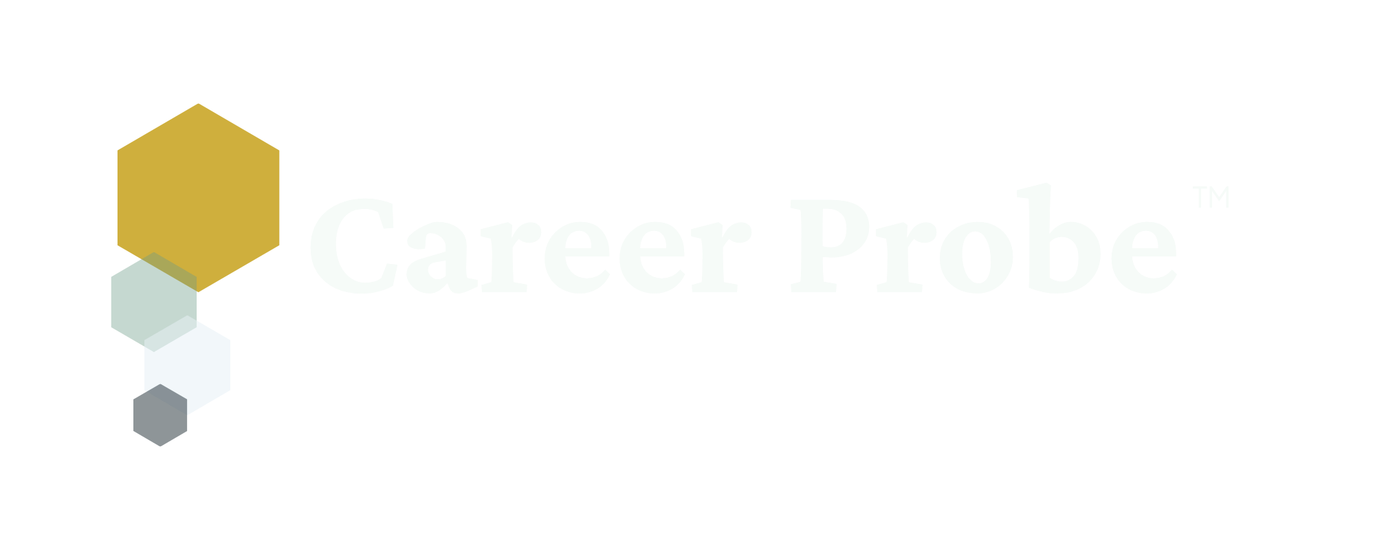 Career Probe logo