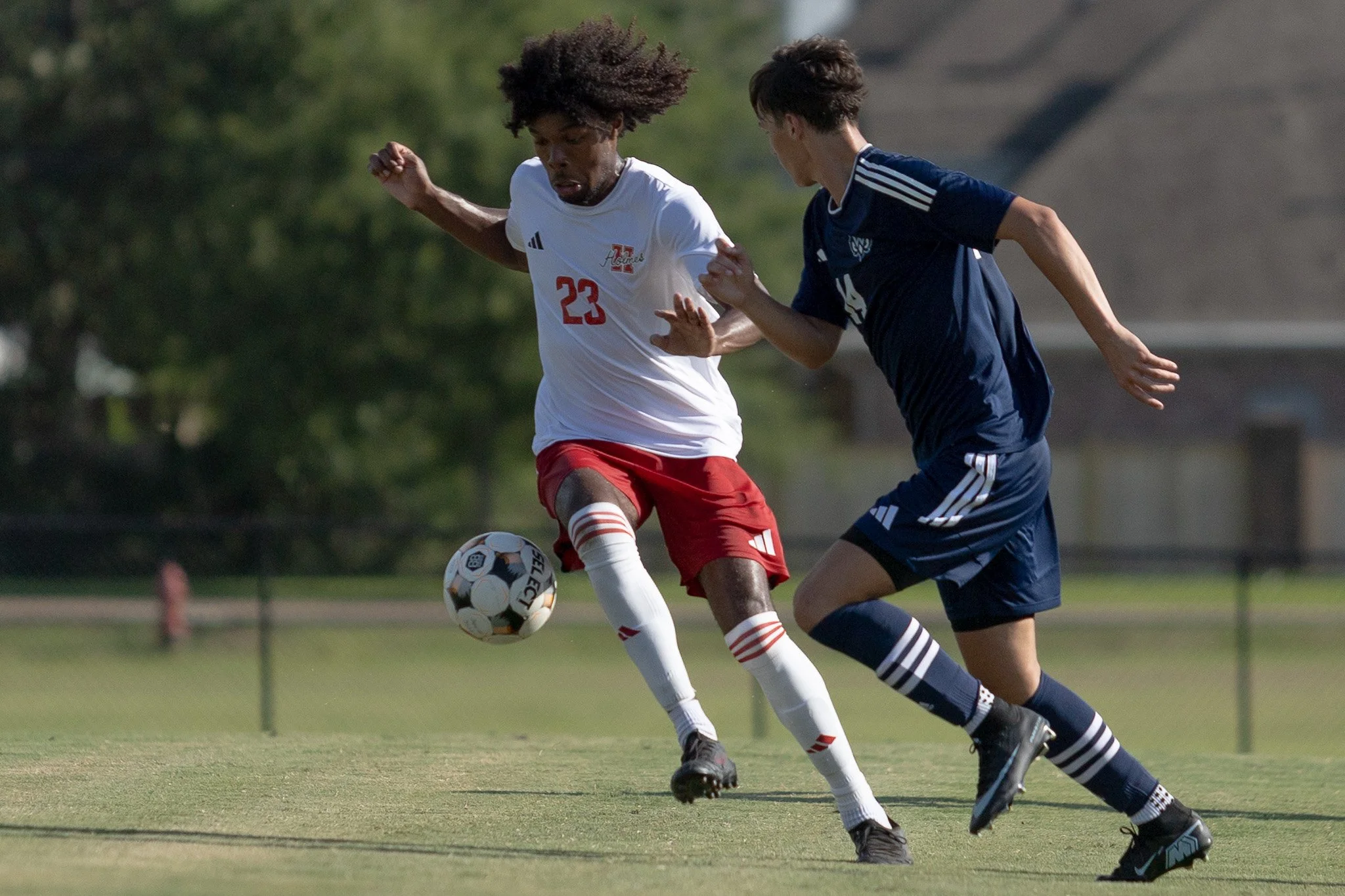 RLC_8407.jpg