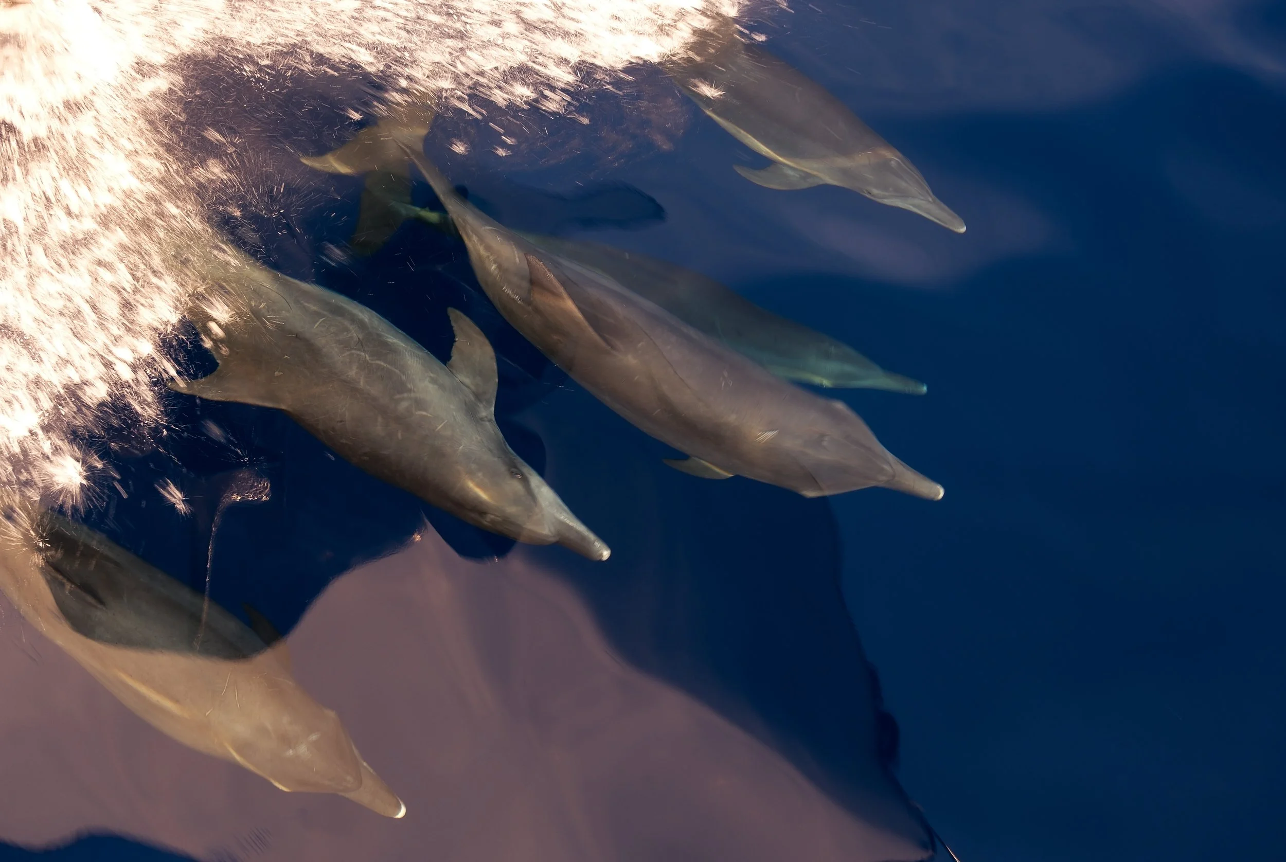 DSCF3759.JPG