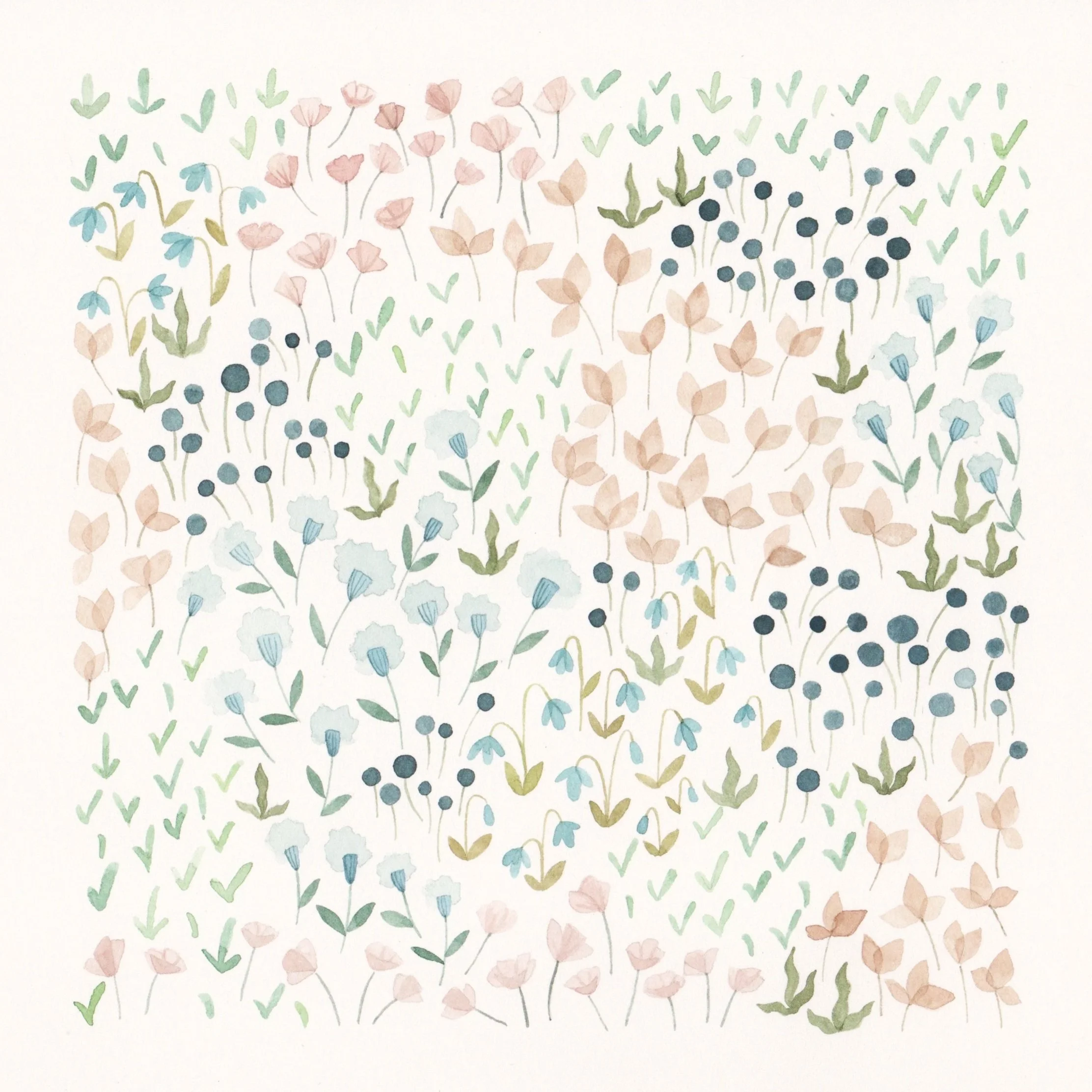 Wildflowers
