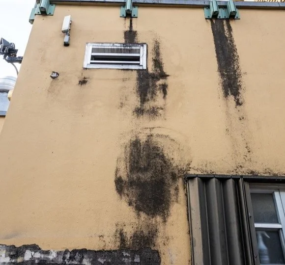 Exterior wall of a building with black water stains and mold around a vent and window.