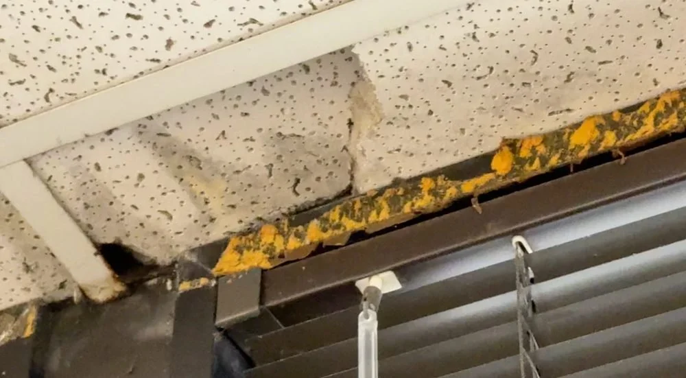 Ceiling with a damaged and moldy area near a vent. The damage includes peeling paint and dark spots.