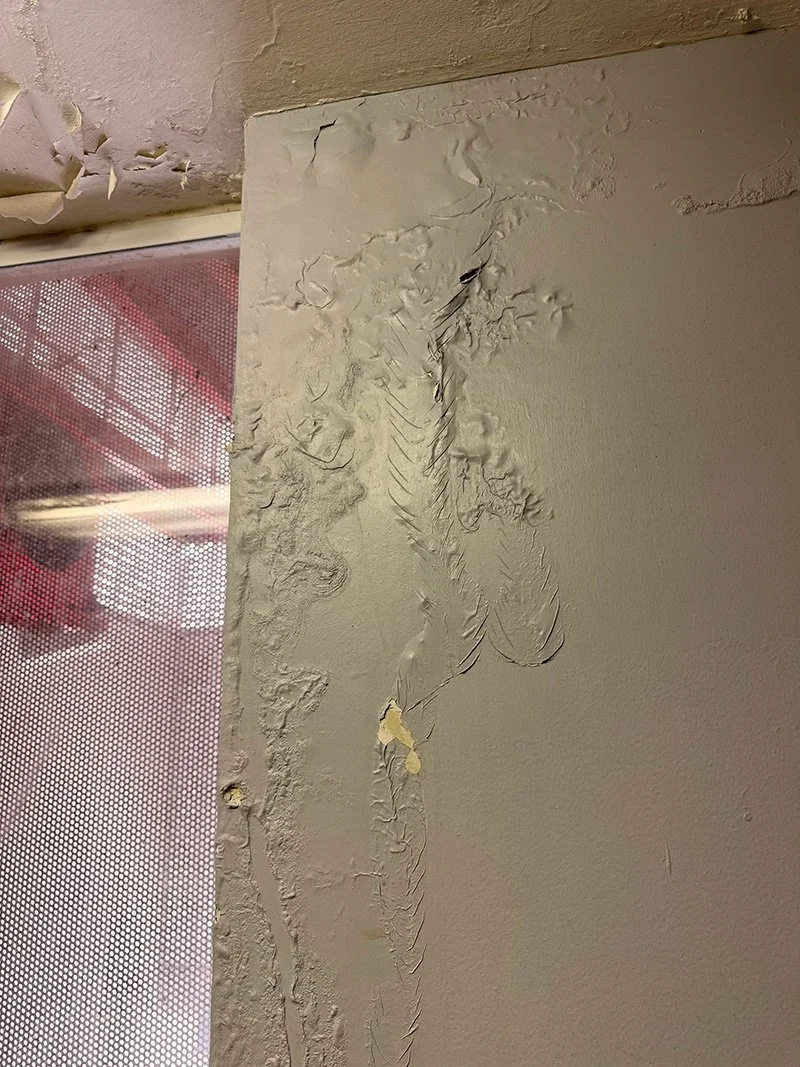 Interior wall with peeling paint and damage near a mesh-covered window or door frame.
