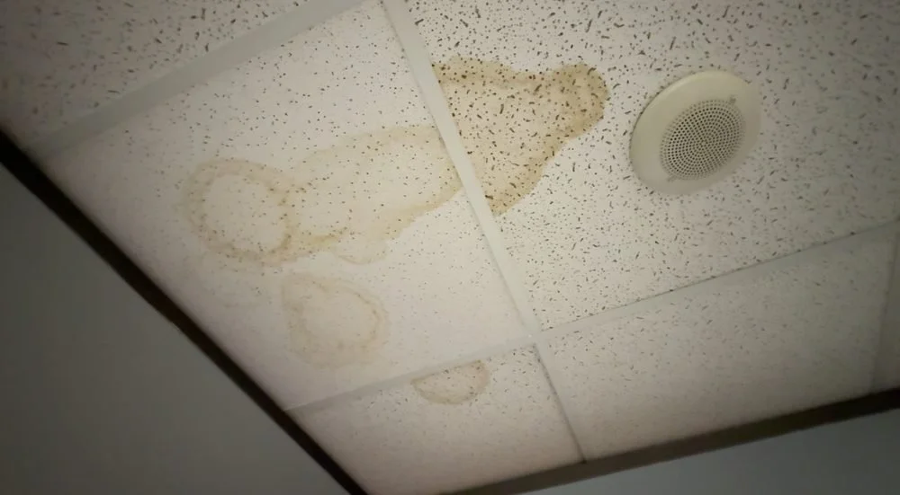 Ceiling tile with water stains and mold growth, and a round air vent.