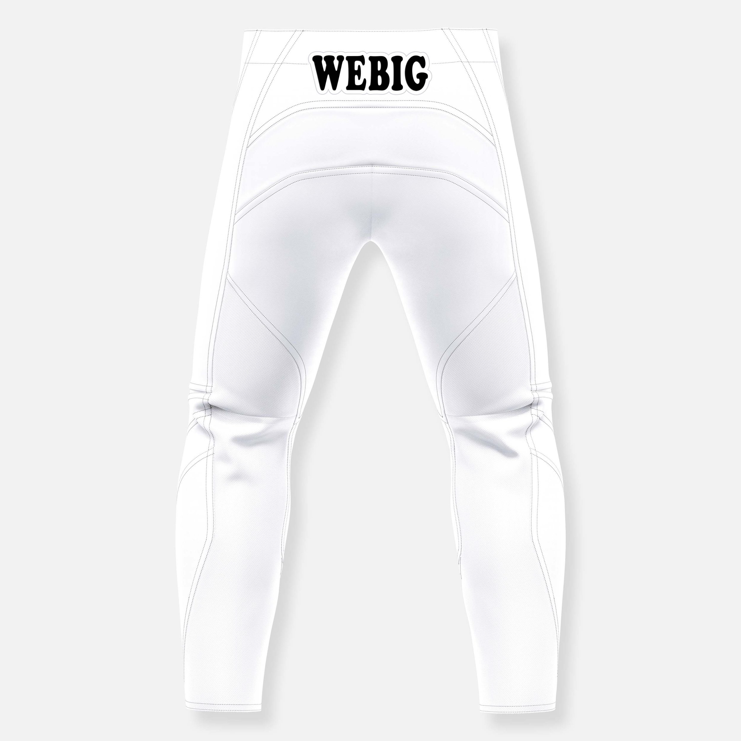 JEFF EMIG SILVER BULLET RACE TEAM PANT_BACK.jpg