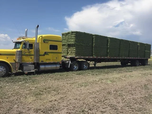 Yellow semi-truck with a flatbed trailer carrying stacked green hay bales on a farm field under a partly cloudy sky.