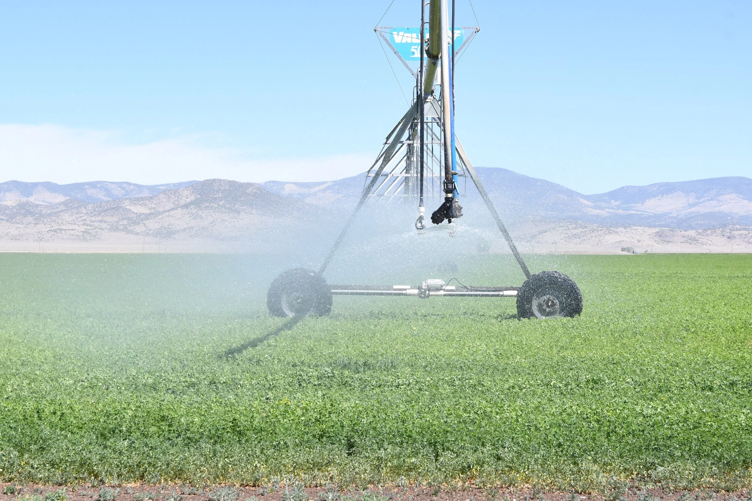 A large agricultural sprinkler system spraying water over a green field with mountains in the background under a clear blue sky.