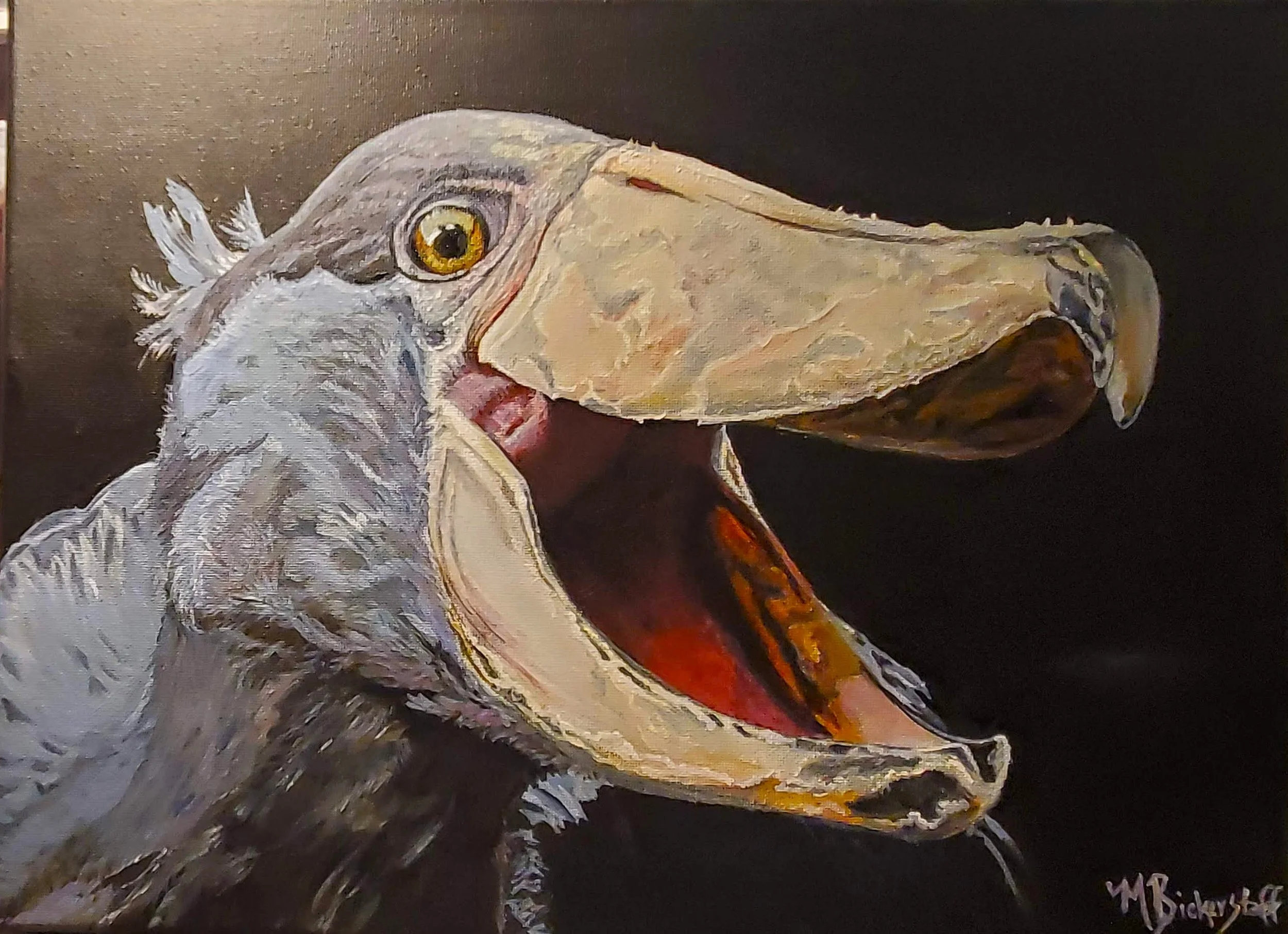 Felix, Shoebill Profile