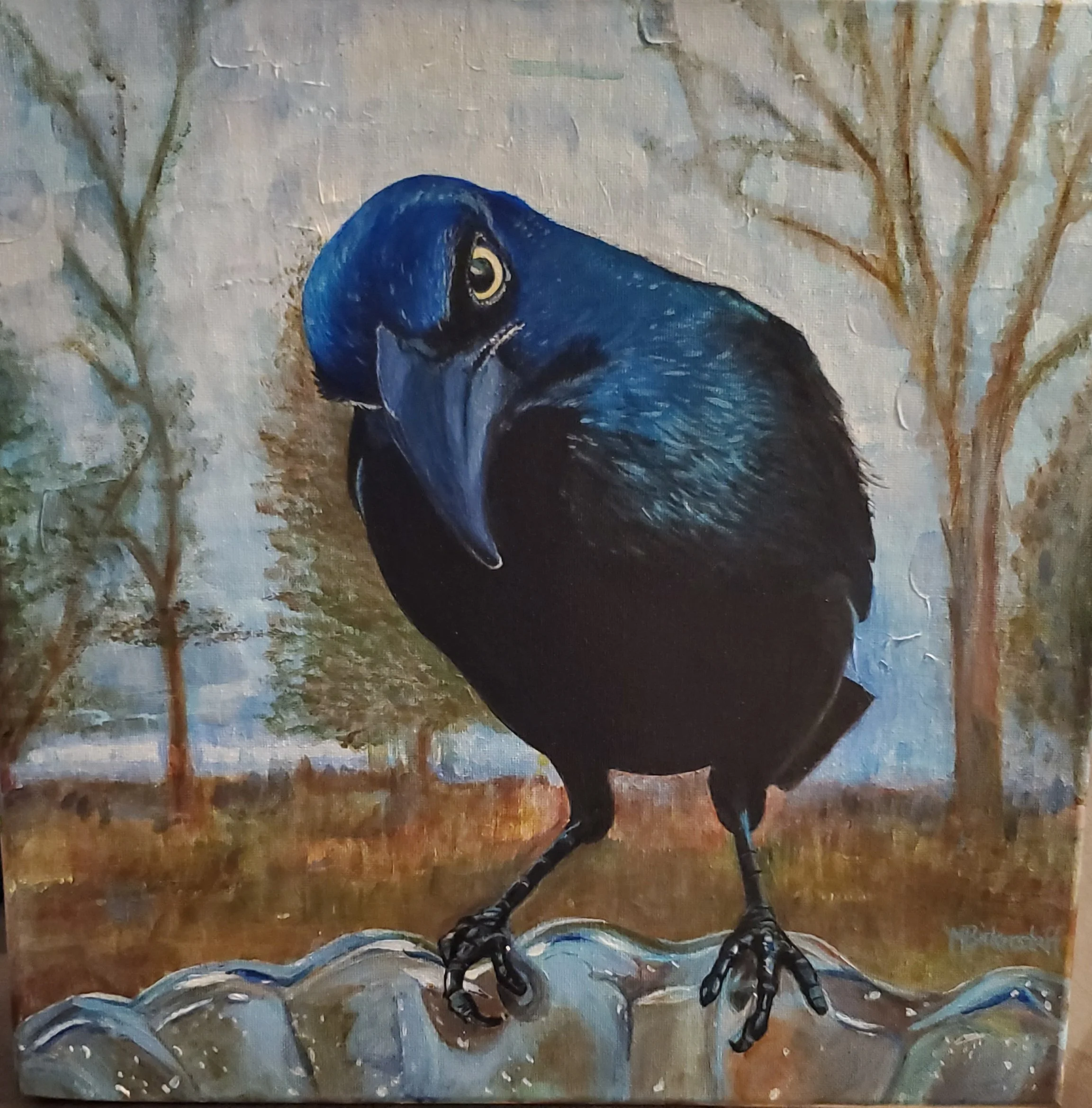 Grackle at Bath
