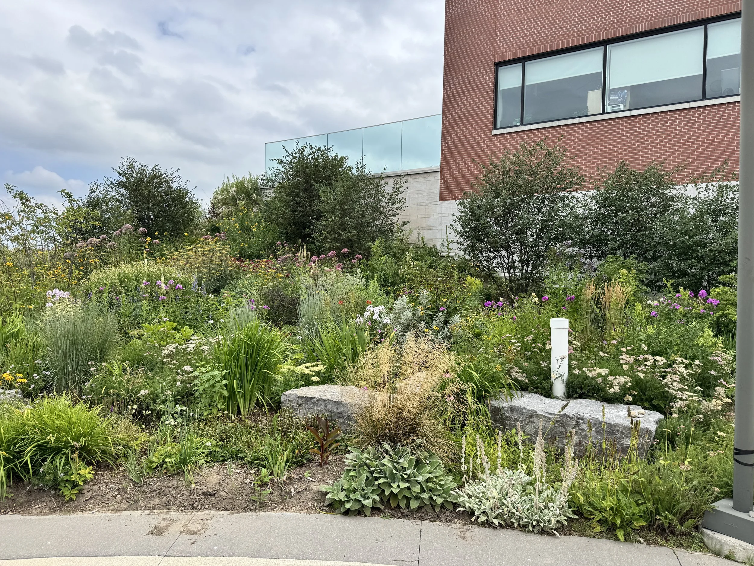 Photo of gardens