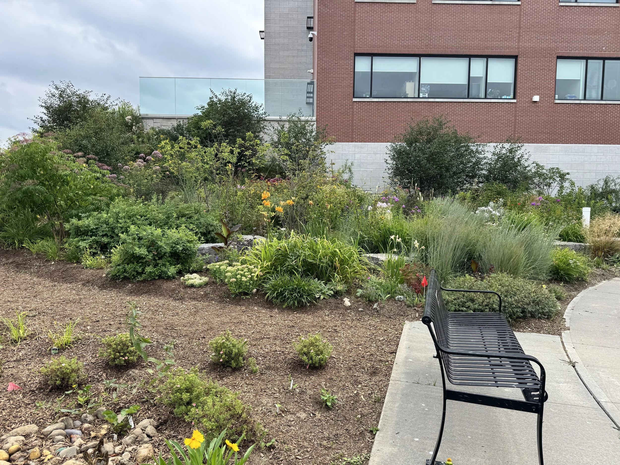 Photo of gardens with a bench in front