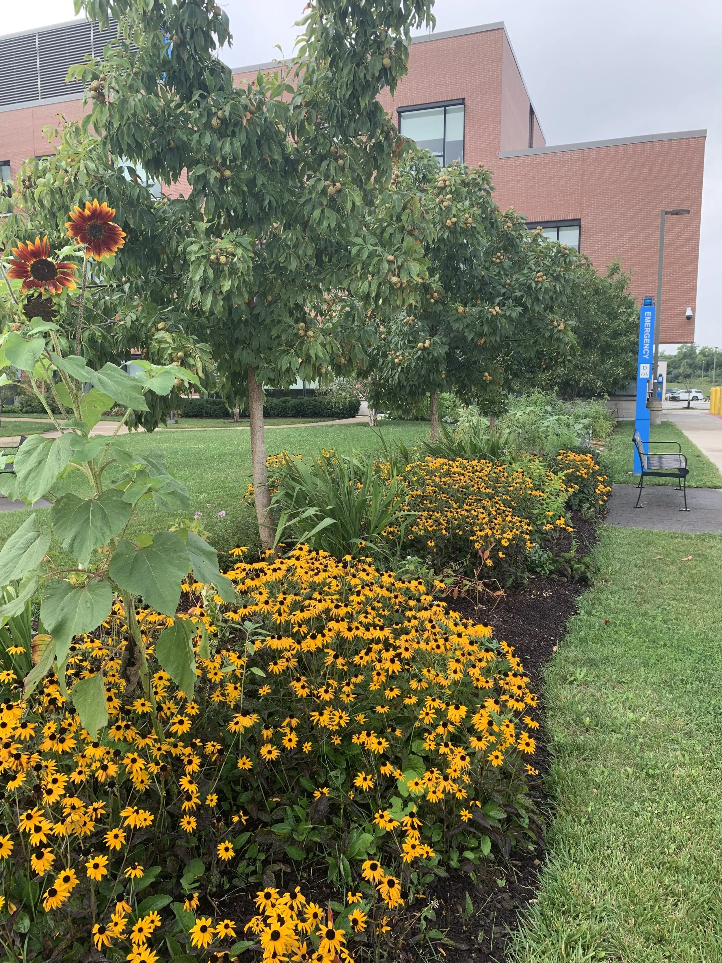 Photo of gardens