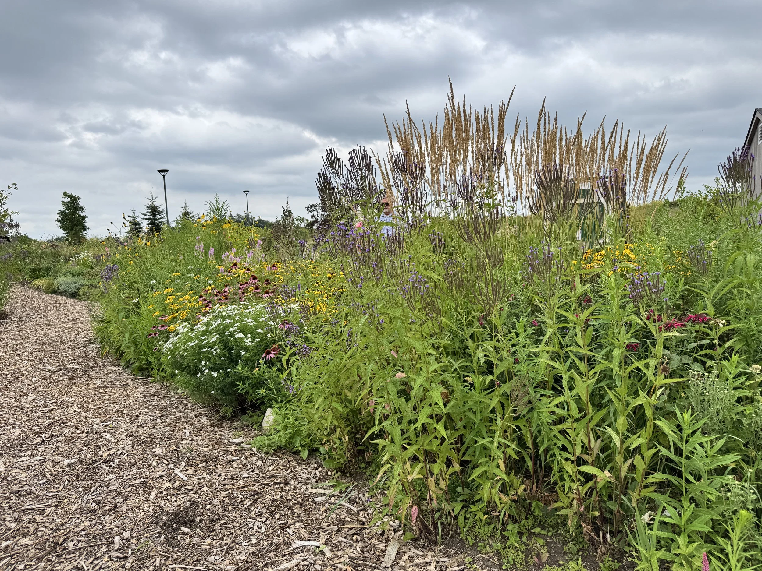 Photo of gardens and a pathway