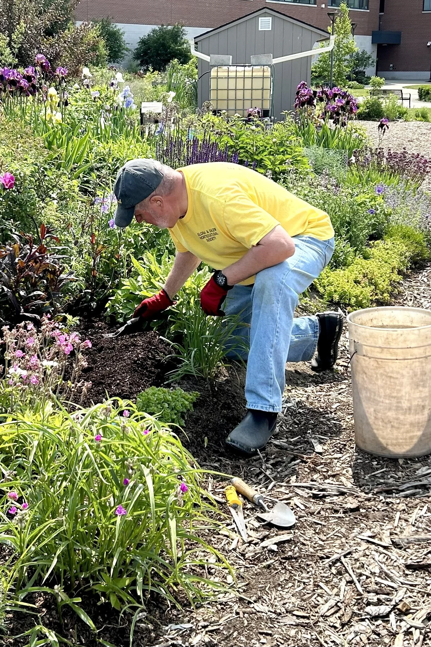 A man wearing a yellow T-shirt, blue jeans, gray cap, and gardening gloves is kneeling in a flower garden, working with gardening tools. There is a bucket nearby, and the garden is filled with various colorful flowers and green plants.