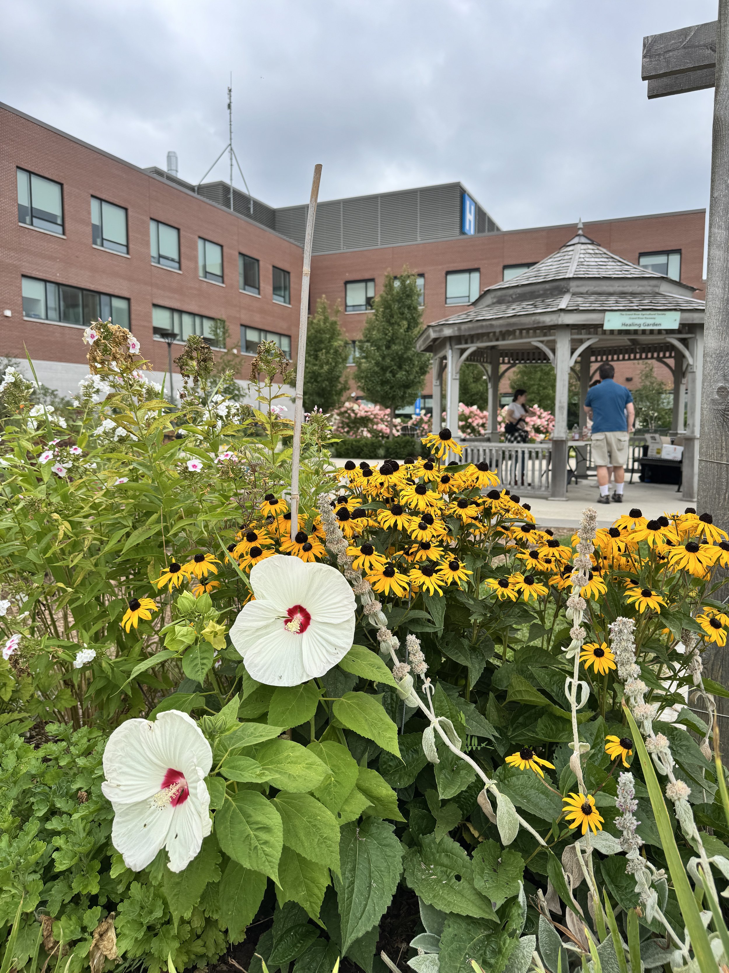 Photo of gardens
