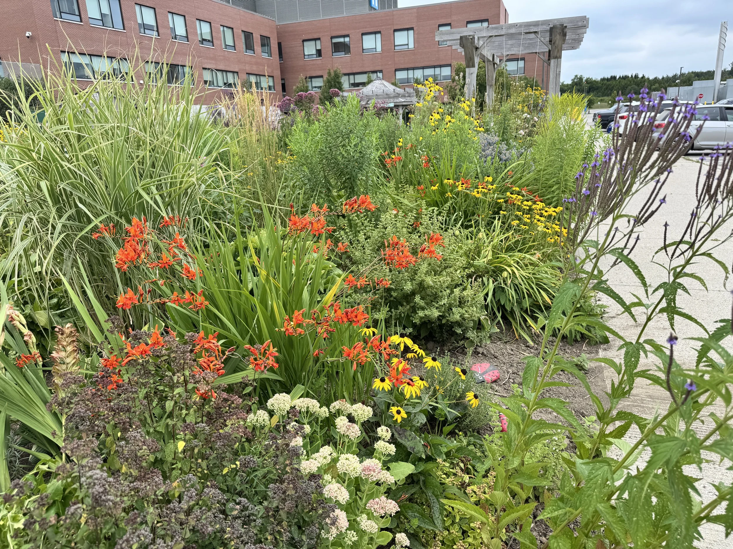 Photo of gardens