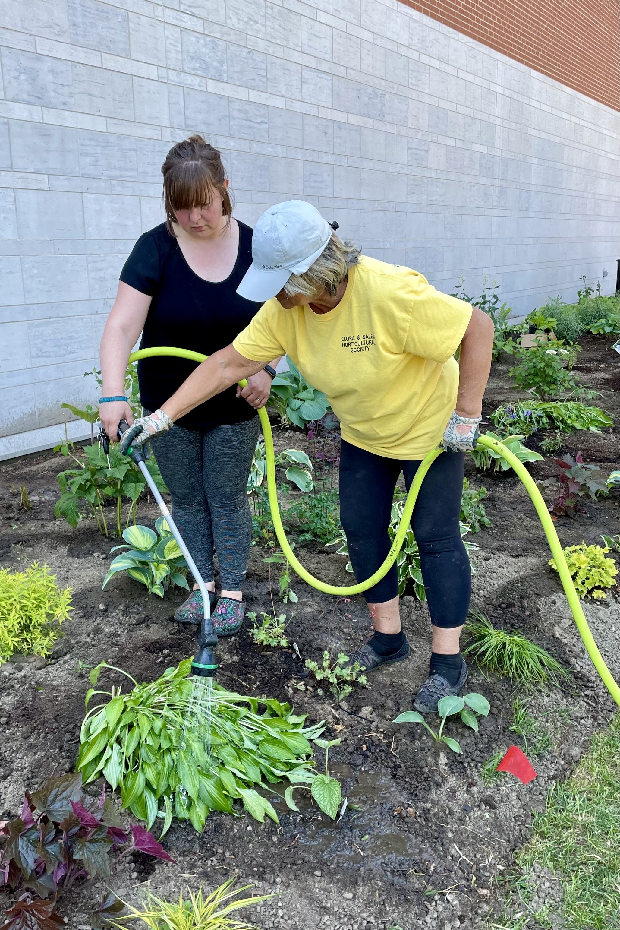Photo of one of our members assisting a new gardener
