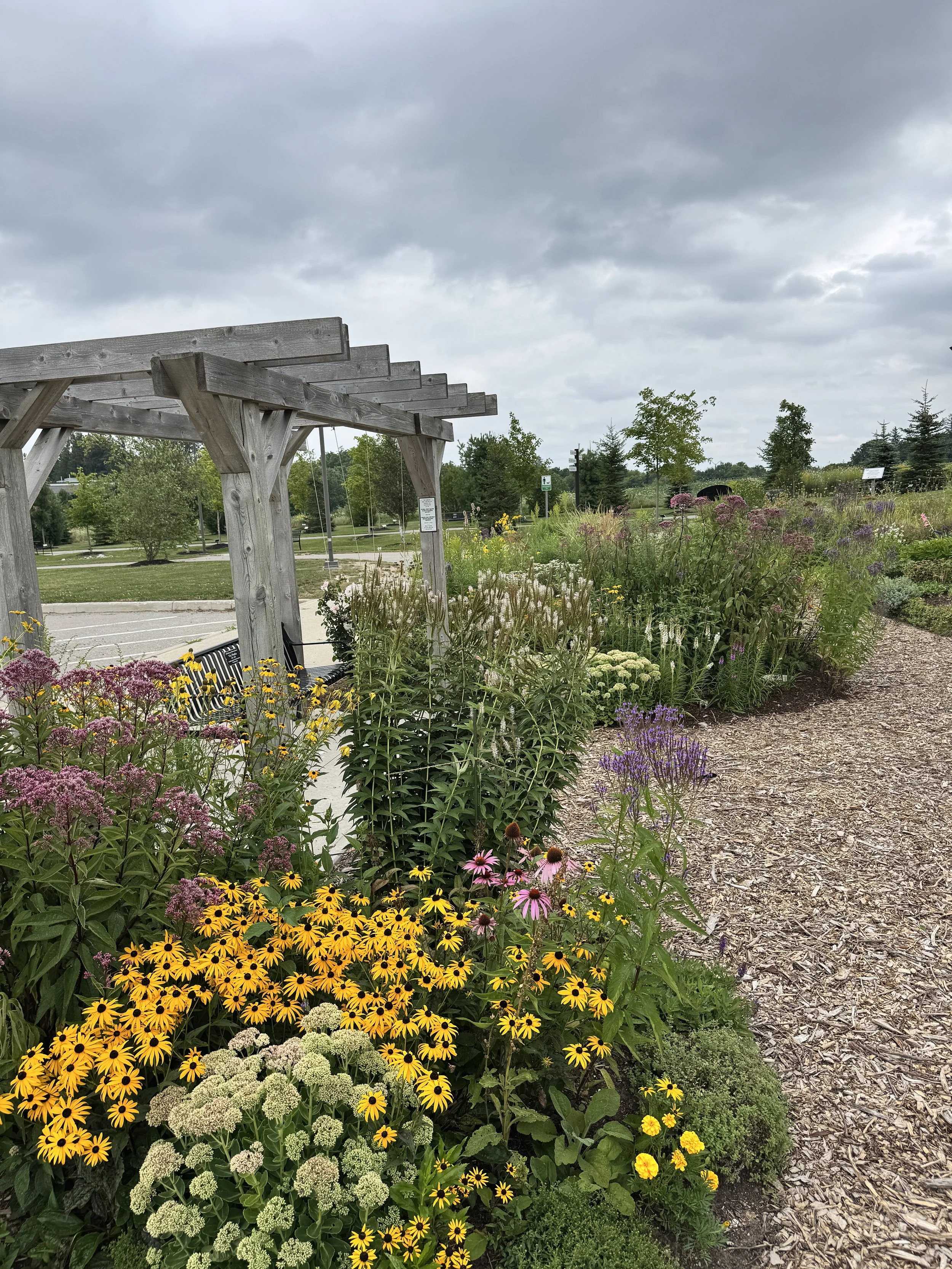 Photo of gardens and an arbor